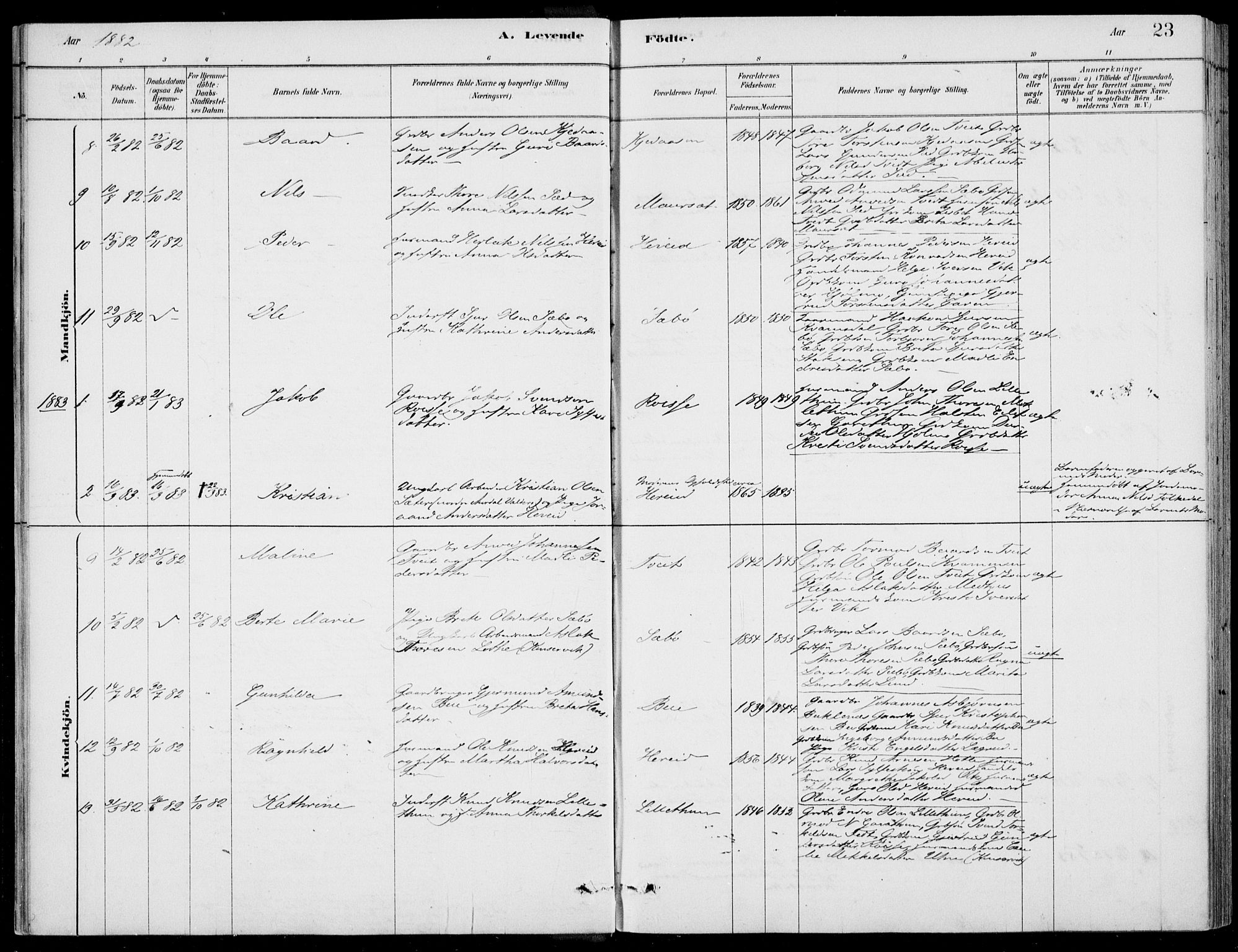 Ulvik sokneprestembete, AV/SAB-A-78801/H/Haa: Parish register (official) no. D  1, 1878-1903, p. 23