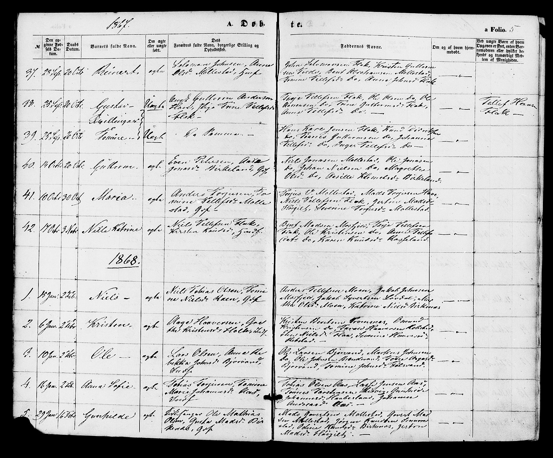 Birkenes sokneprestkontor, AV/SAK-1111-0004/F/Fa/L0004: Parish register (official) no. A 4, 1867-1886, p. 5