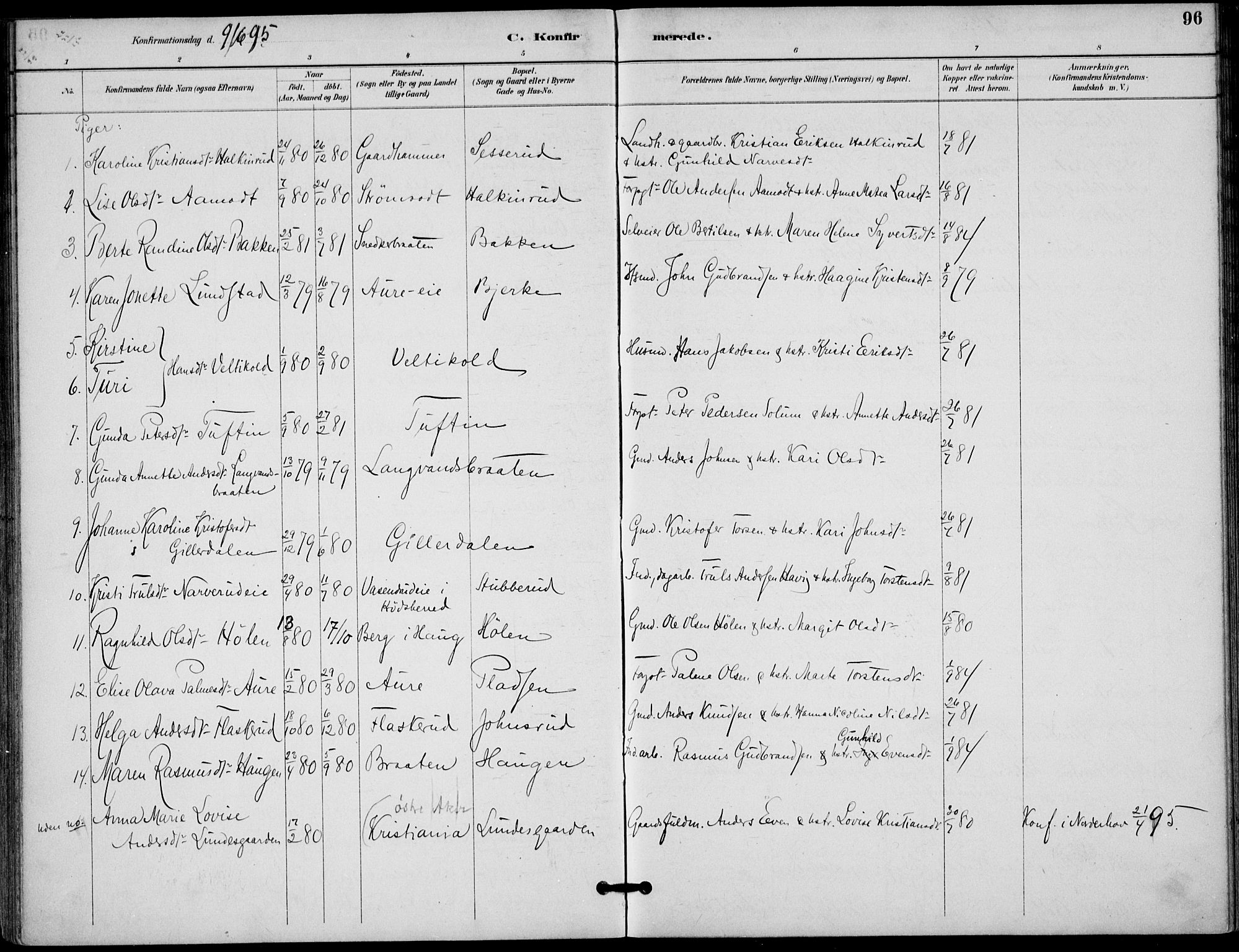 Lunder kirkebøker, AV/SAKO-A-629/F/Fa/L0001: Parish register (official) no. I 1, 1885-1912, p. 96