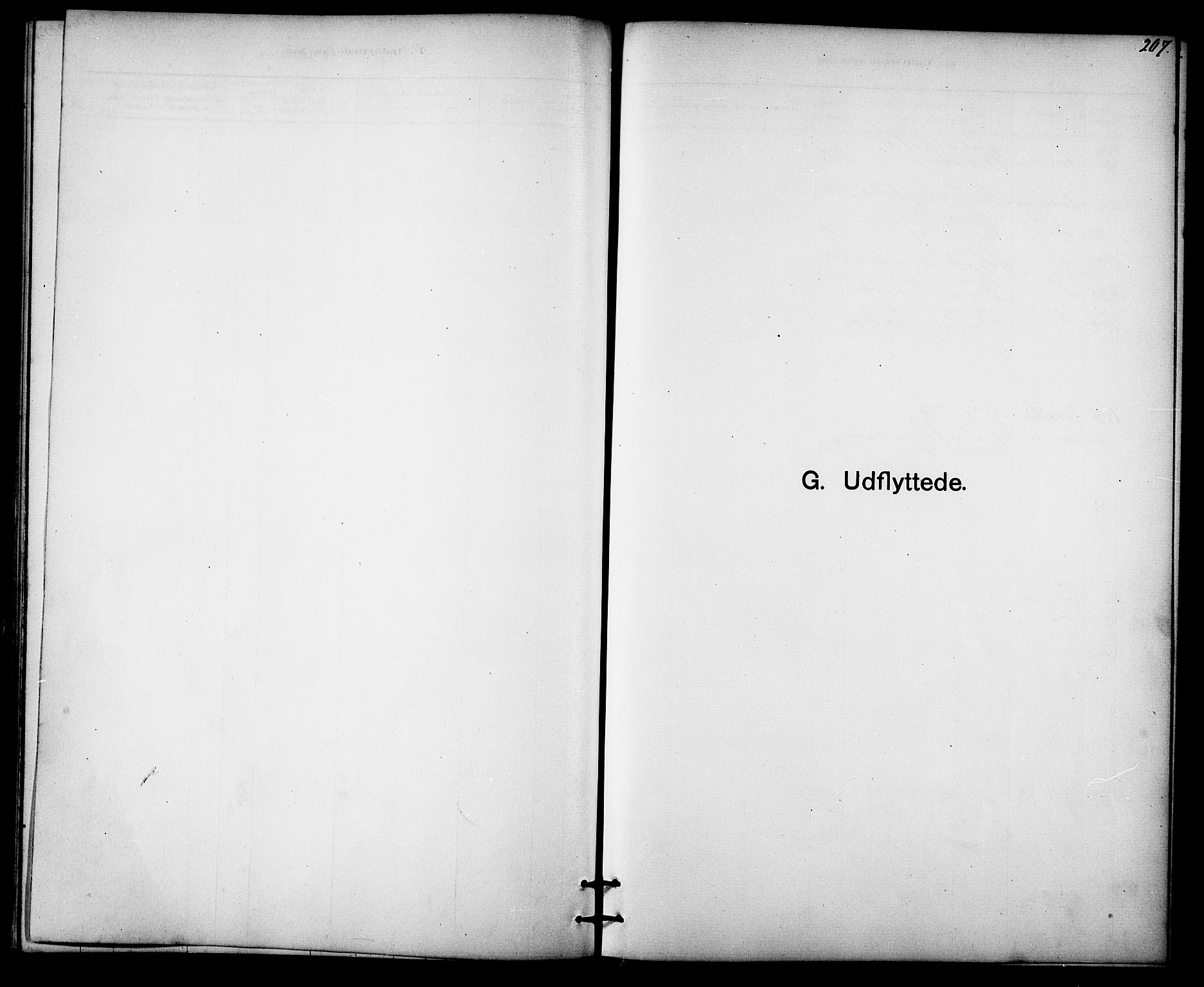 Ministerialprotokoller, klokkerbøker og fødselsregistre - Sør-Trøndelag, SAT/A-1456/613/L0395: Parish register (copy) no. 613C03, 1887-1909, p. 207