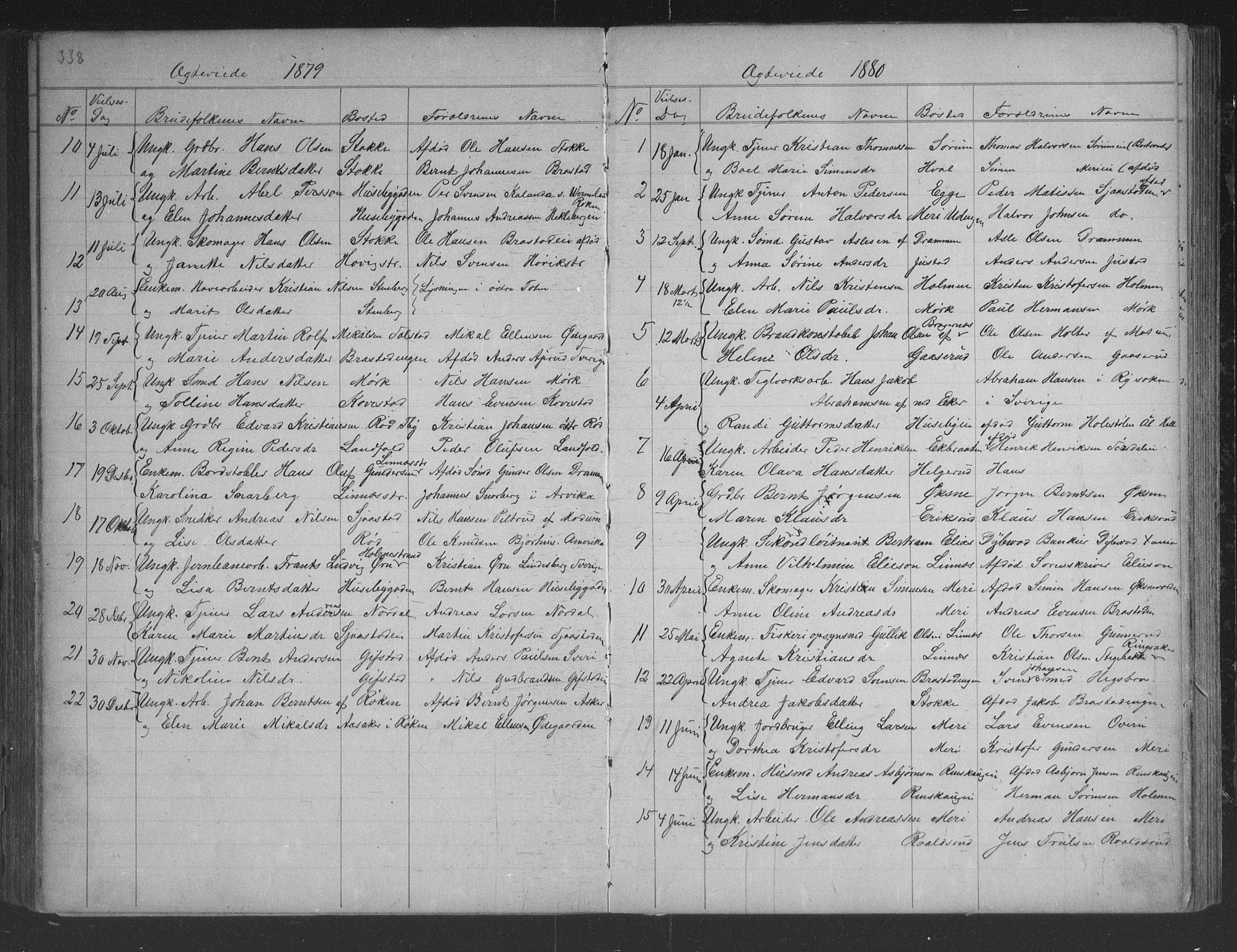 Lier kirkebøker, AV/SAKO-A-230/G/Gb/L0001: Parish register (copy) no. II 1, 1874-1898, p. 338-339