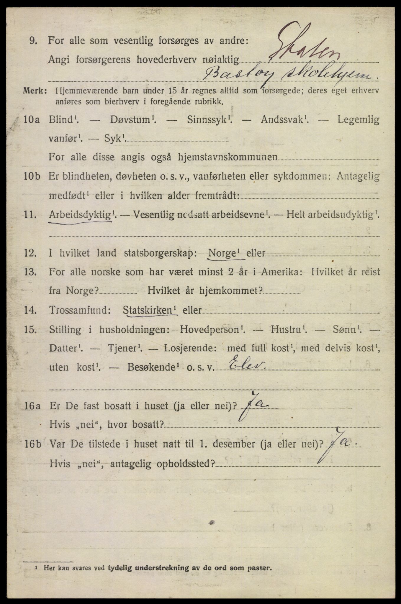 SAKO, 1920 census for Borre, 1920, p. 2619