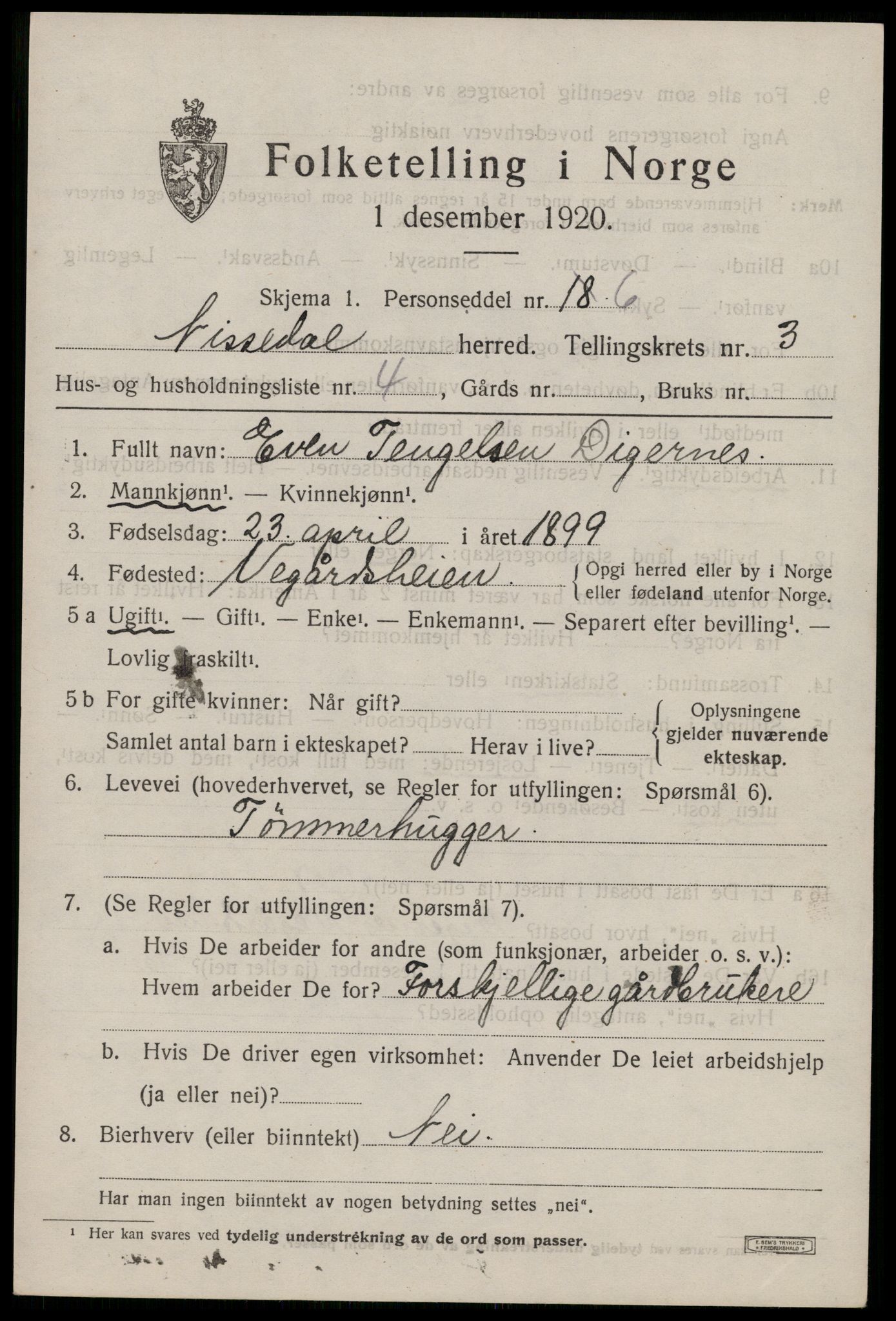 SAKO, 1920 census for Nissedal, 1920, p. 1531