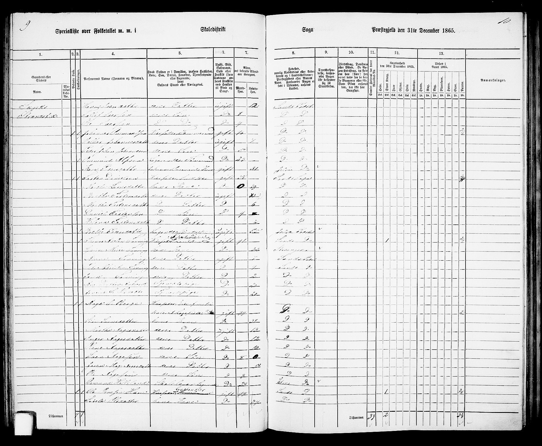 RA, 1865 census for Sand, 1865, p. 51