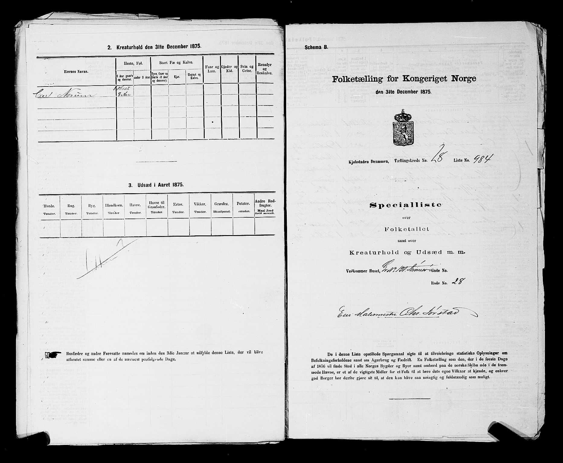 SAKO, 1875 census for 0602 Drammen, 1875, p. 2677