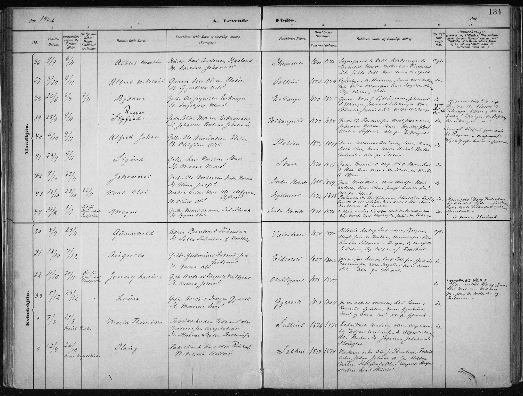 Hamre sokneprestembete, AV/SAB-A-75501/H/Ha/Haa/Haab/L0001: Parish register (official) no. B  1, 1882-1905, p. 134