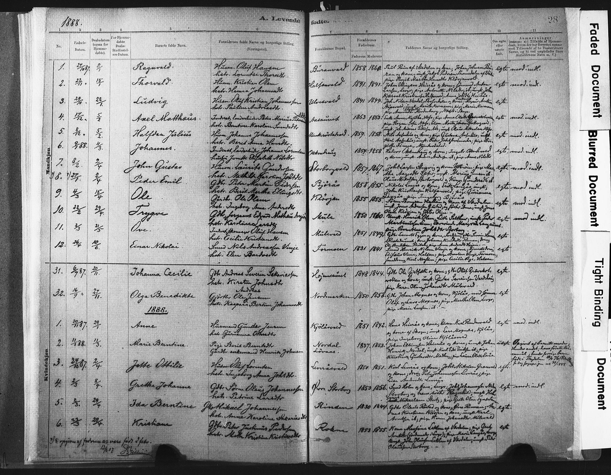 Ministerialprotokoller, klokkerbøker og fødselsregistre - Nord-Trøndelag, SAT/A-1458/721/L0207: Parish register (official) no. 721A02, 1880-1911, p. 28