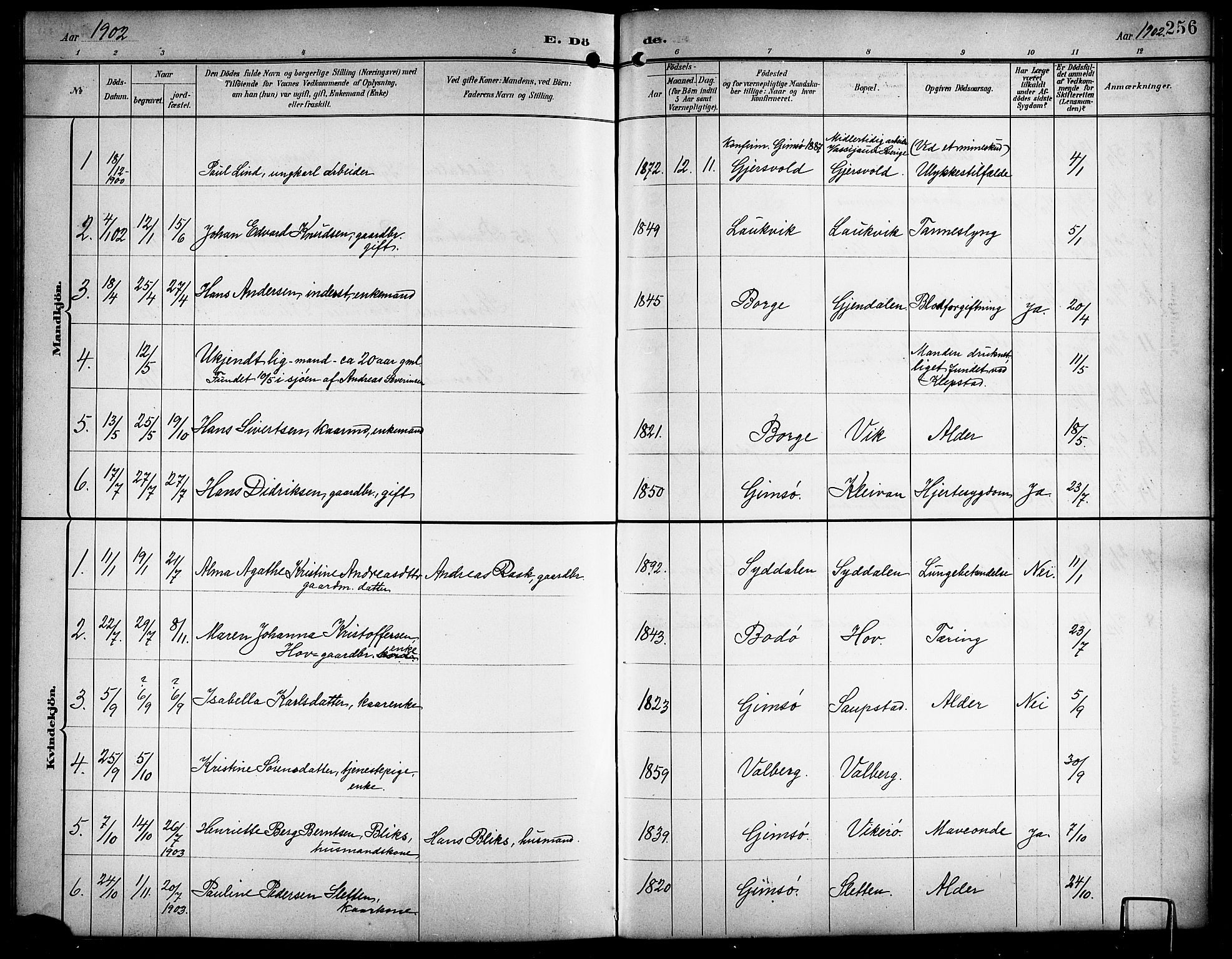 Ministerialprotokoller, klokkerbøker og fødselsregistre - Nordland, AV/SAT-A-1459/876/L1105: Parish register (copy) no. 876C04, 1896-1914, p. 256