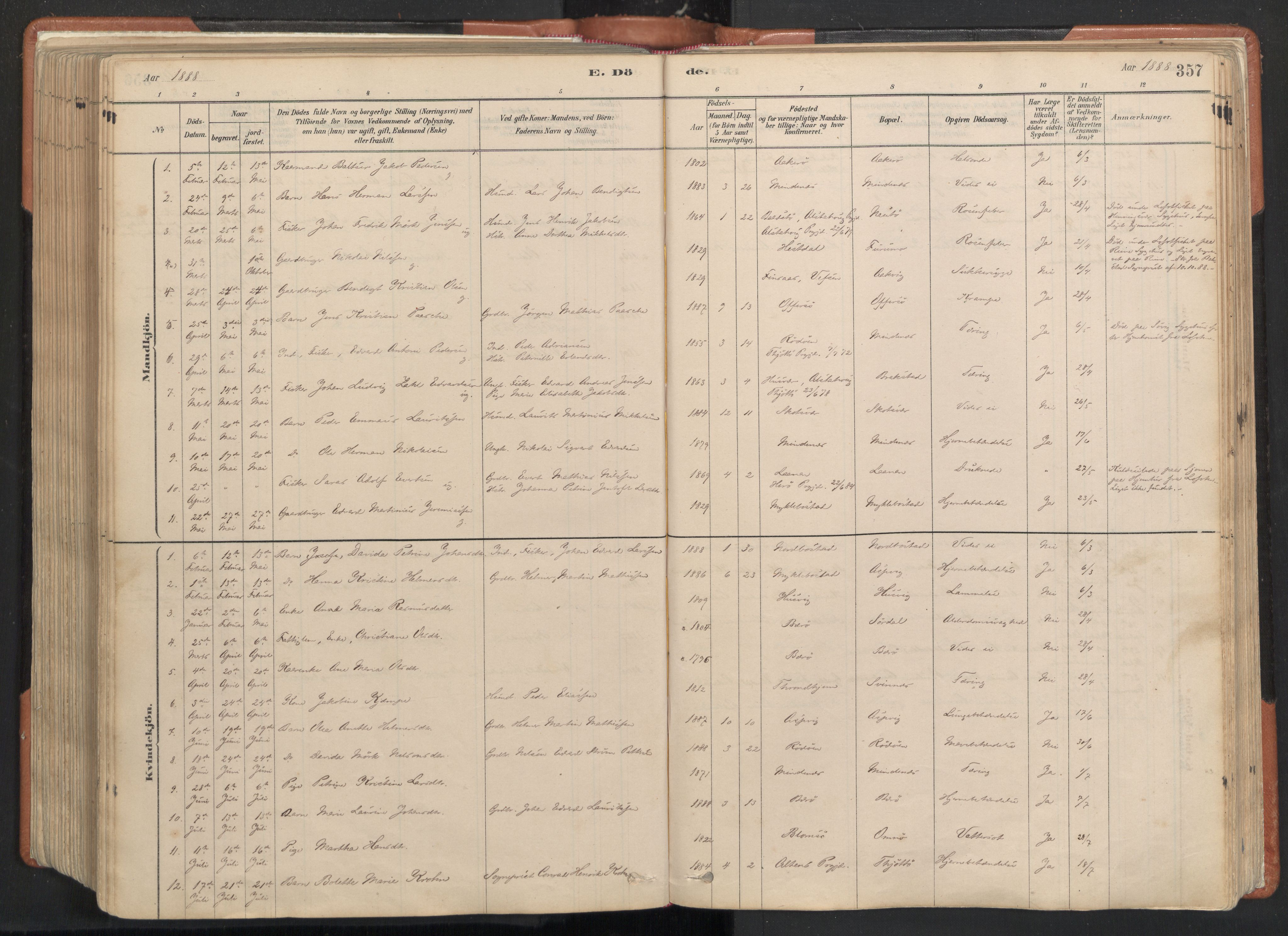 Ministerialprotokoller, klokkerbøker og fødselsregistre - Nordland, SAT/A-1459/817/L0264: Parish register (official) no. 817A04, 1878-1907, p. 357