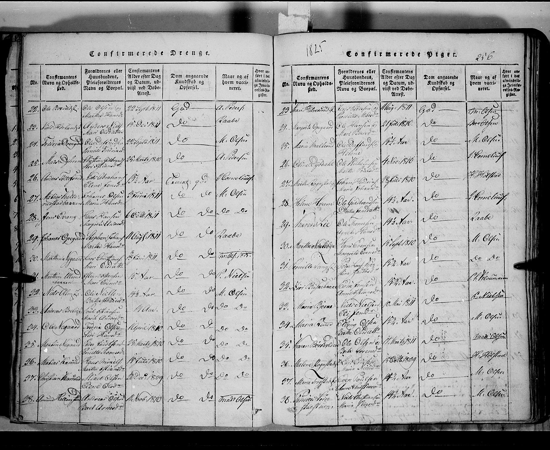 Toten prestekontor, SAH/PREST-102/H/Ha/Hab/L0002: Parish register (copy) no. 2, 1820-1827, p. 256