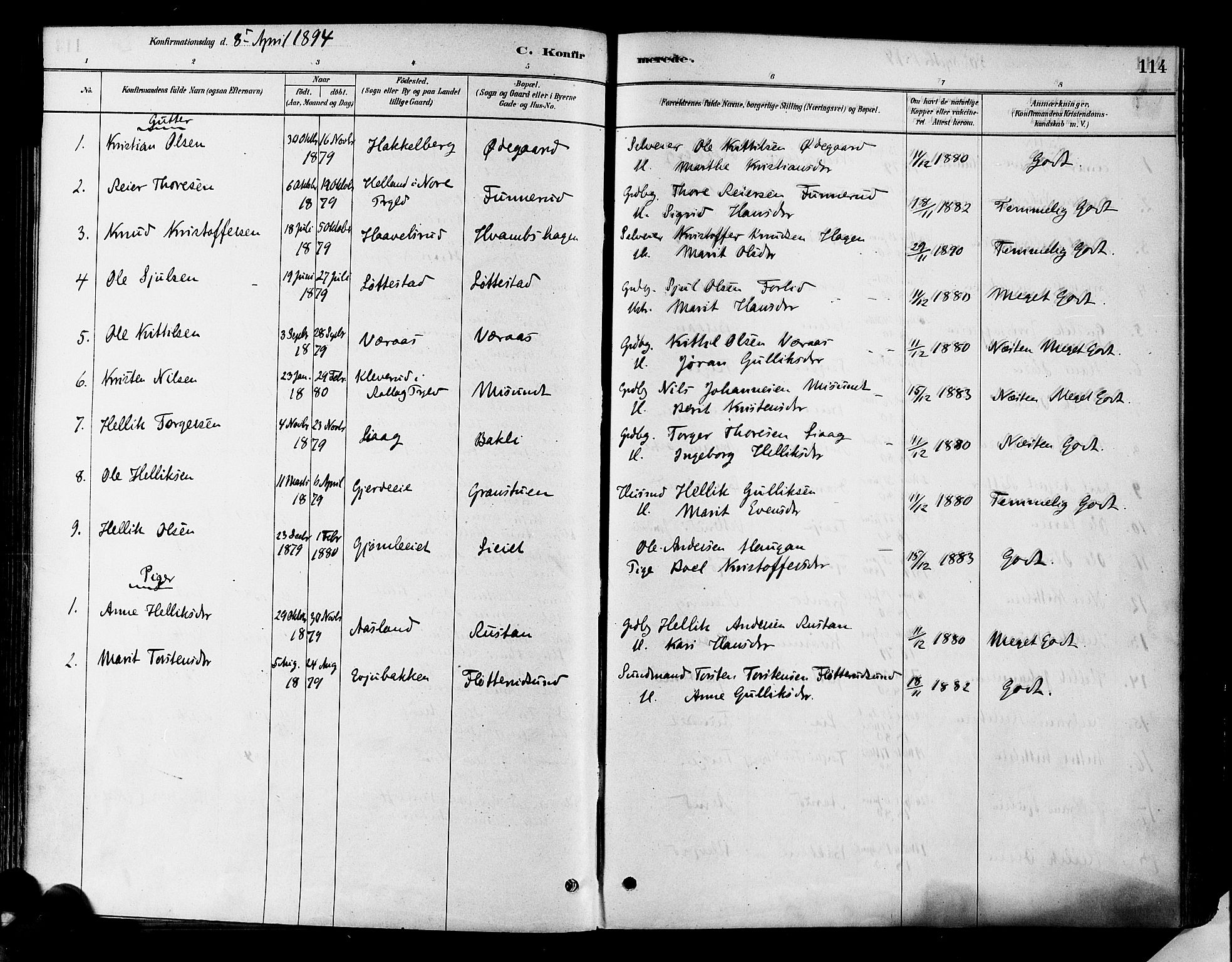 Flesberg kirkebøker, SAKO/A-18/F/Fa/L0008: Parish register (official) no. I 8, 1879-1899, p. 114