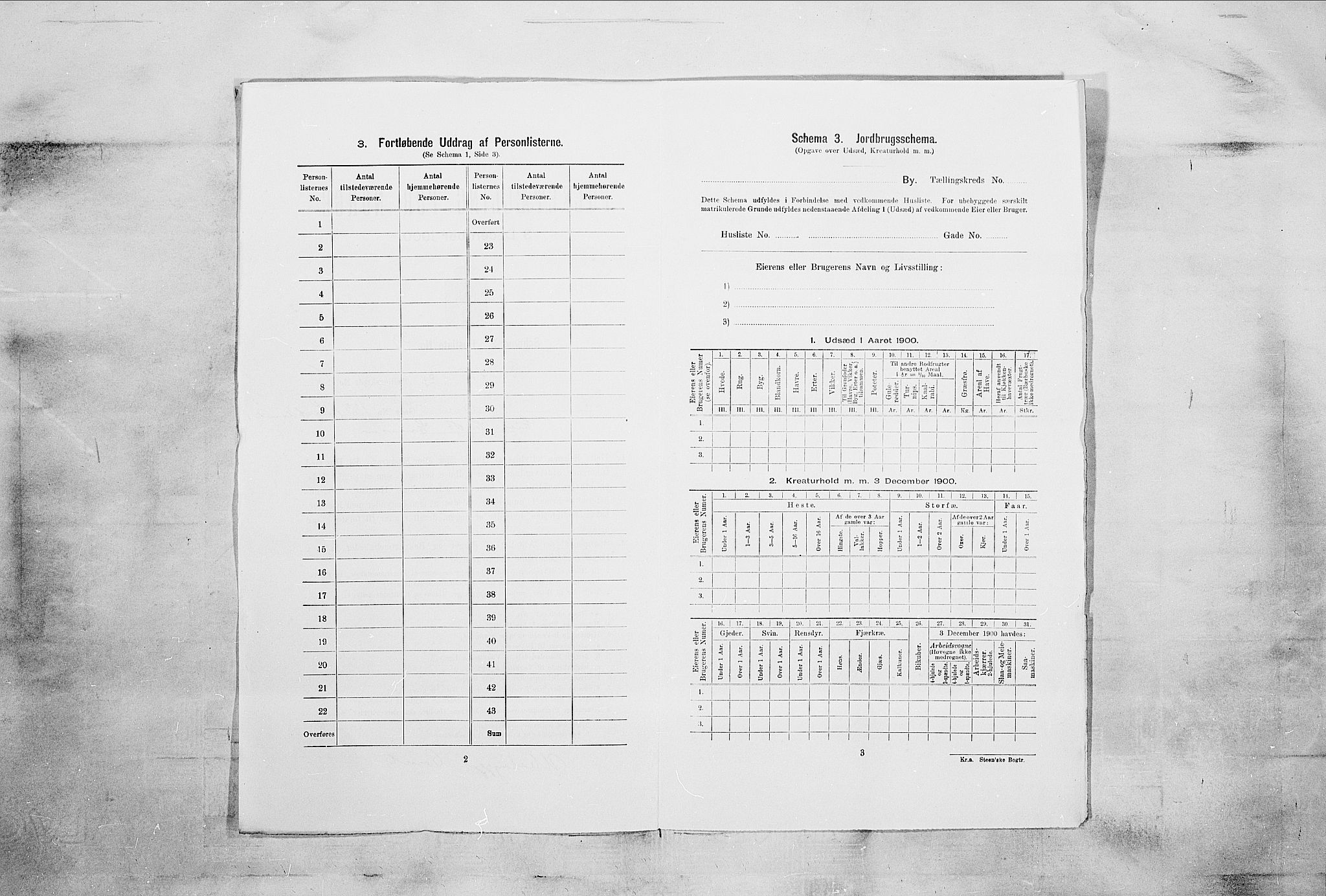 SAKO, 1900 census for Brevik, 1900, p. 1332