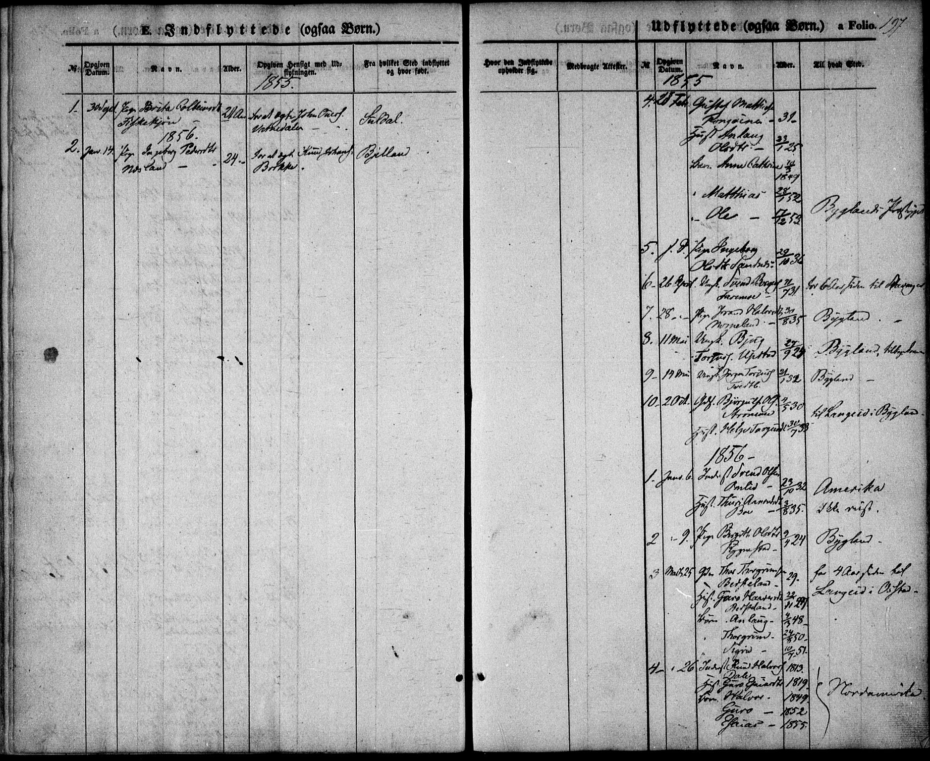 Valle sokneprestkontor, AV/SAK-1111-0044/F/Fa/Fac/L0007: Parish register (official) no. A 7, 1854-1868, p. 197