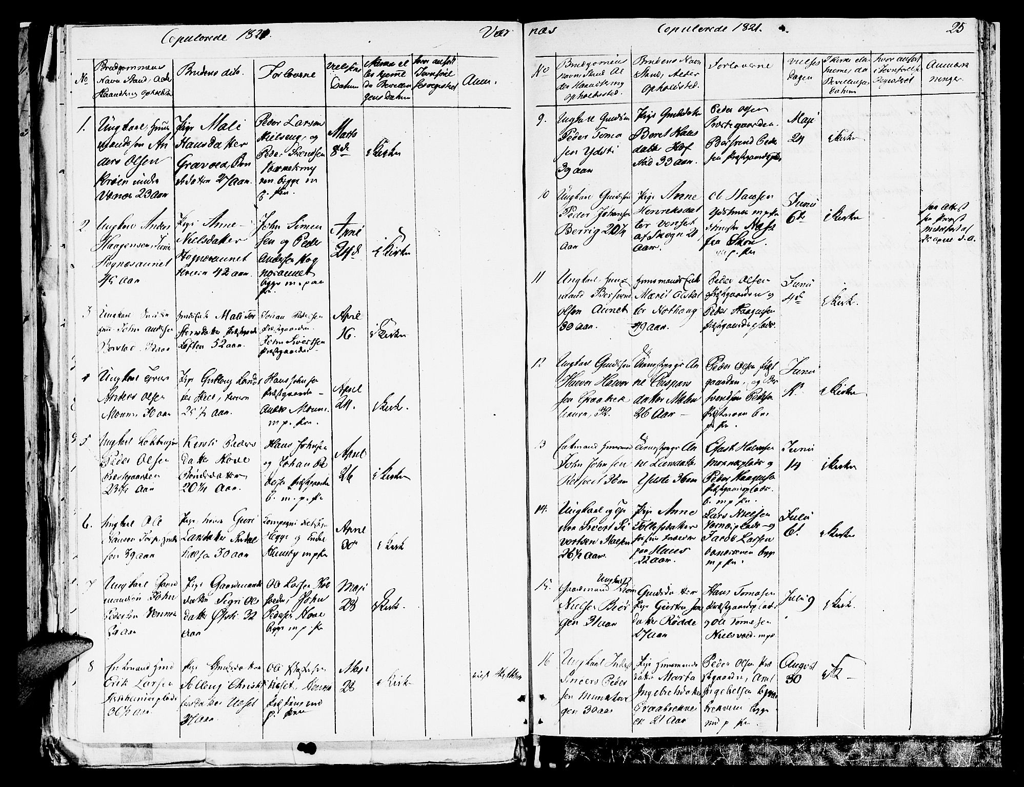 Ministerialprotokoller, klokkerbøker og fødselsregistre - Nord-Trøndelag, SAT/A-1458/709/L0061: Parish register (official) no. 709A09 /1, 1820-1821, p. 25