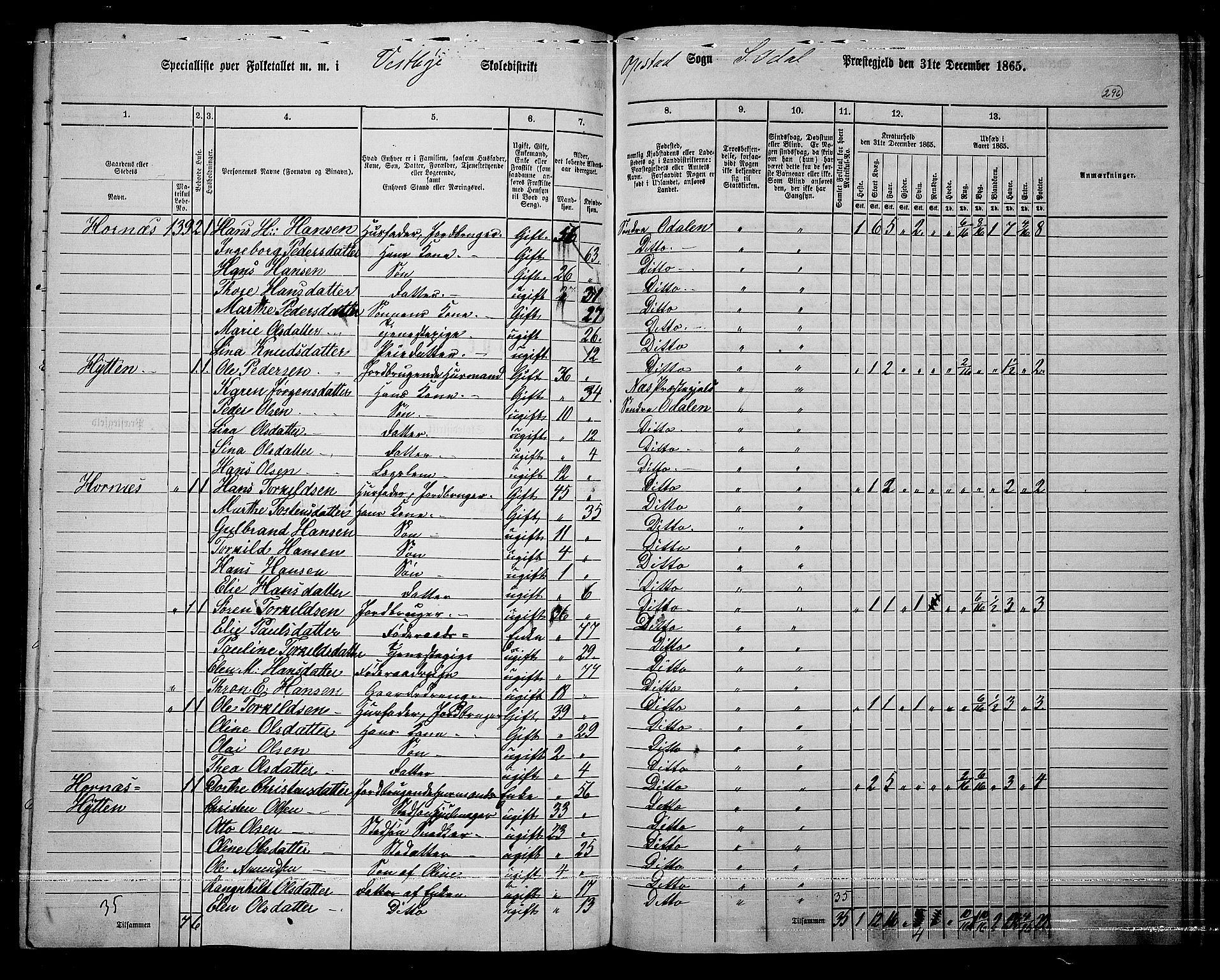 RA, 1865 census for Sør-Odal, 1865, p. 260