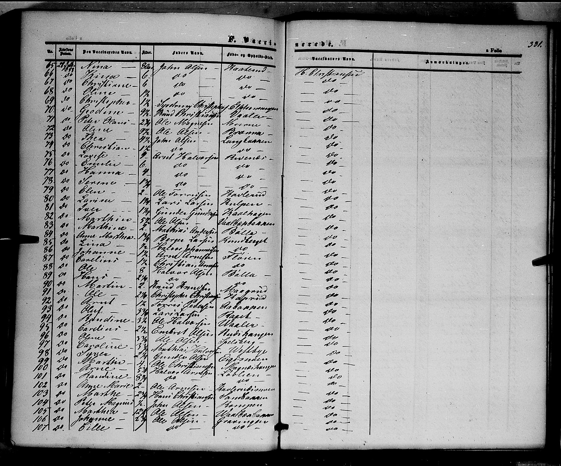 Våler prestekontor, Hedmark, AV/SAH-PREST-040/H/Ha/Haa/L0001: Parish register (official) no. 1, 1849-1878, p. 381