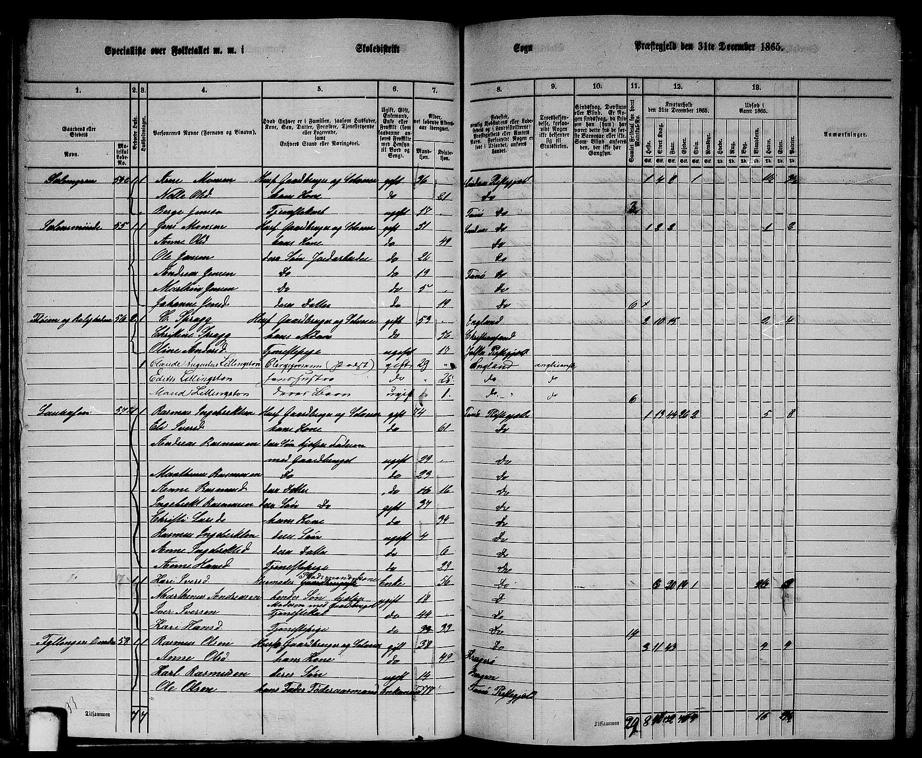 RA, 1865 census for Fana, 1865, p. 40