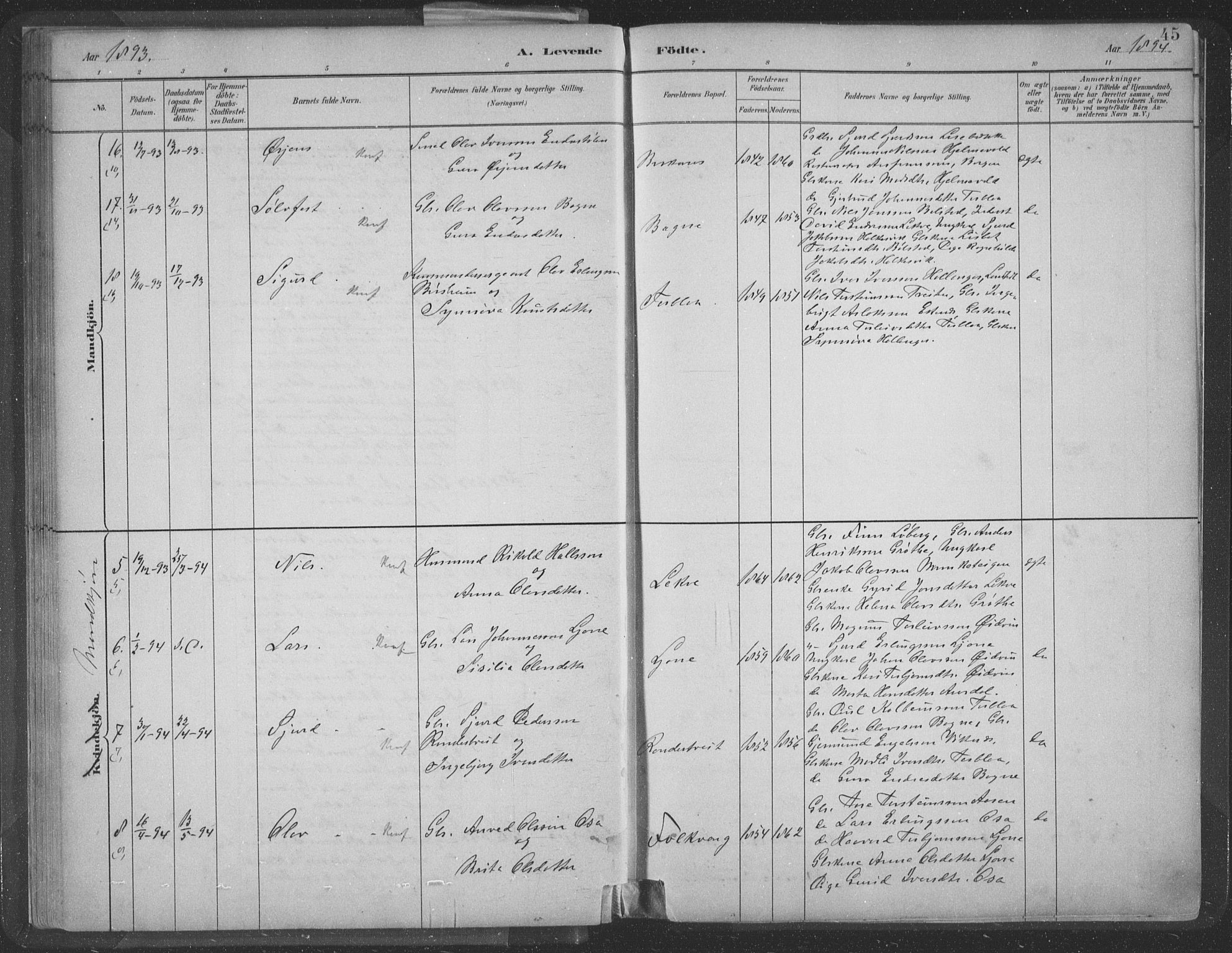 Ulvik sokneprestembete, SAB/A-78801/H/Hab: Parish register (copy) no. A 3, 1883-1908, p. 45