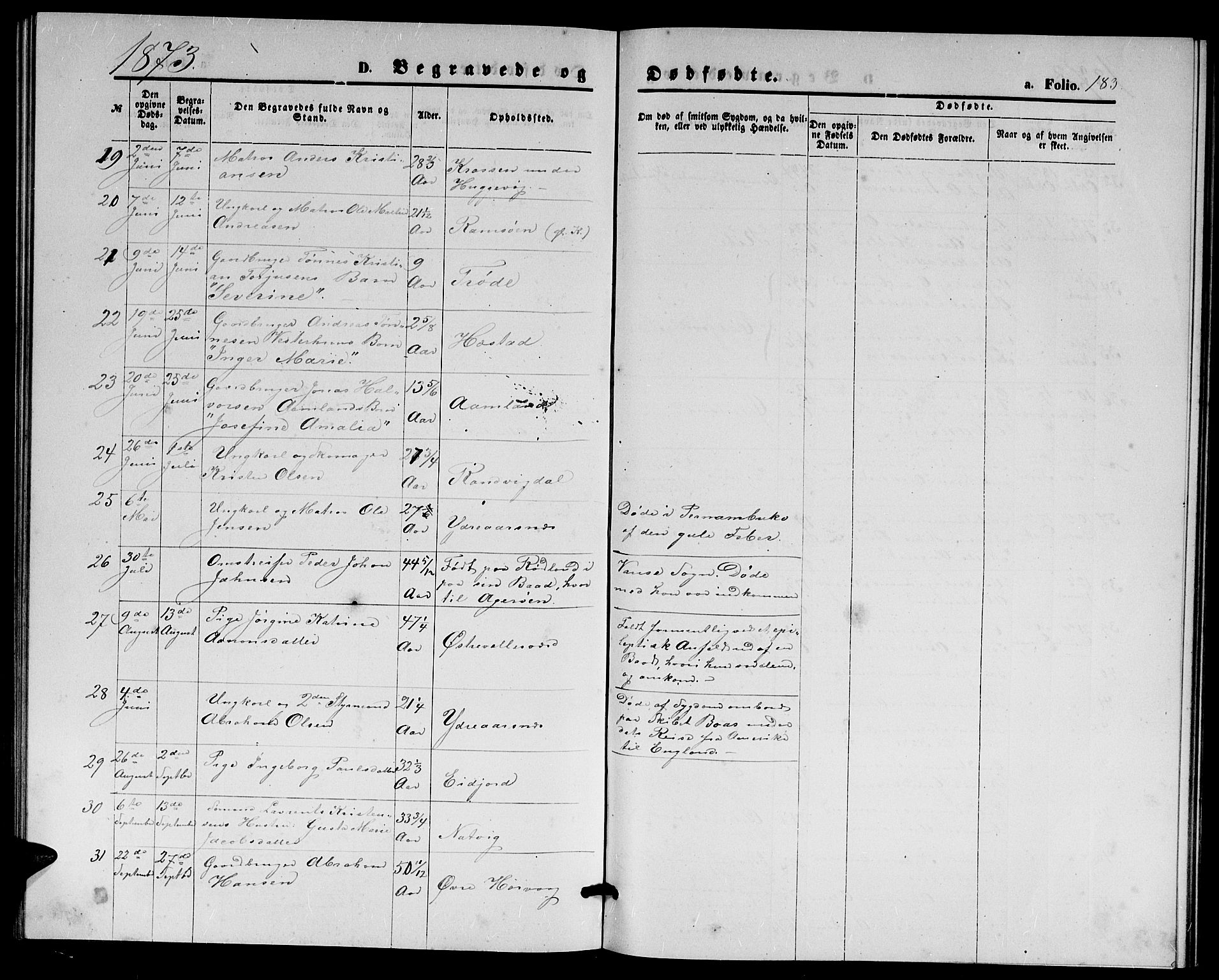 Høvåg sokneprestkontor, AV/SAK-1111-0025/F/Fb/L0003: Parish register (copy) no. B 3, 1870-1882, p. 183