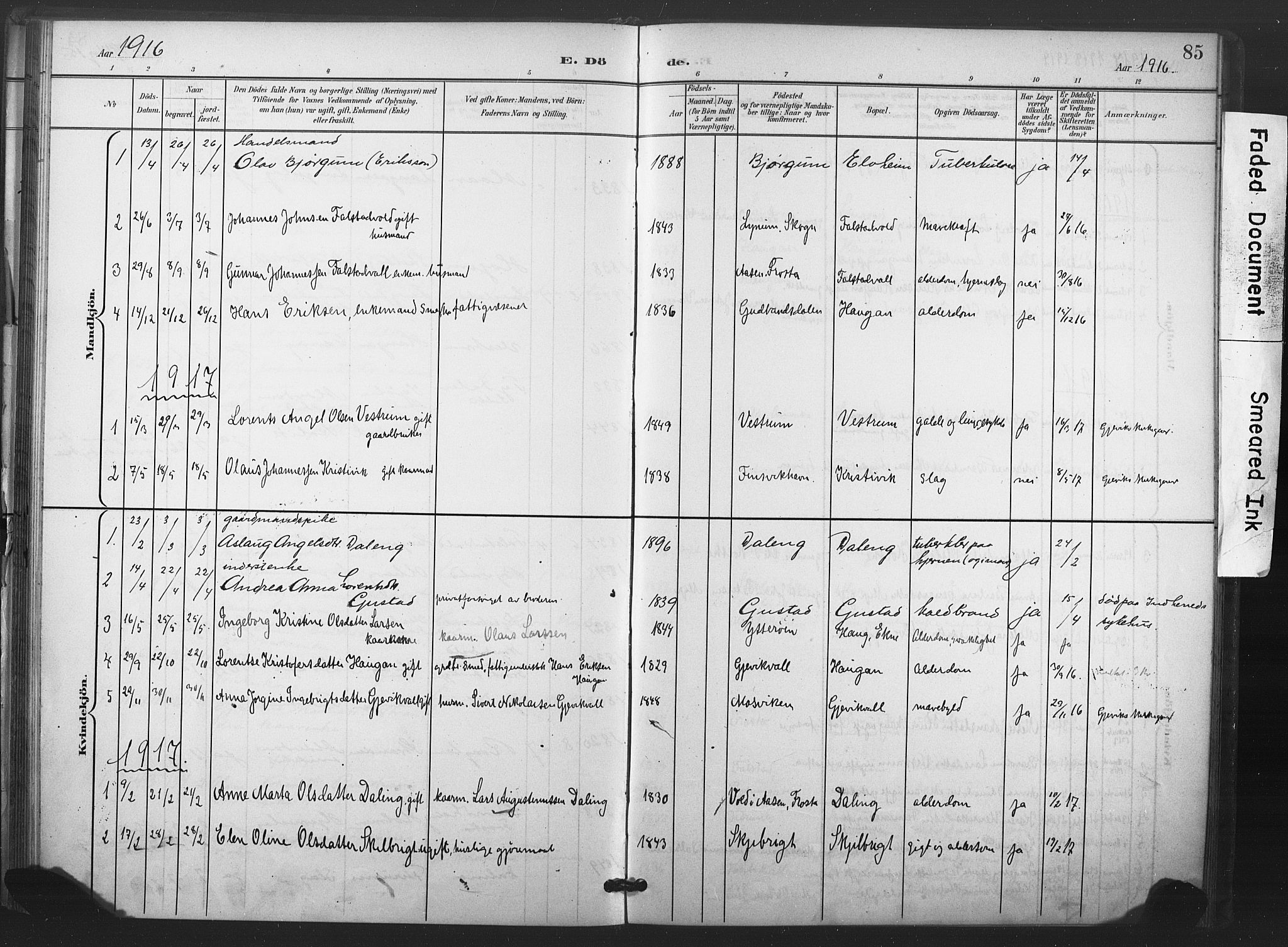 Ministerialprotokoller, klokkerbøker og fødselsregistre - Nord-Trøndelag, AV/SAT-A-1458/719/L0179: Parish register (official) no. 719A02, 1901-1923, p. 85