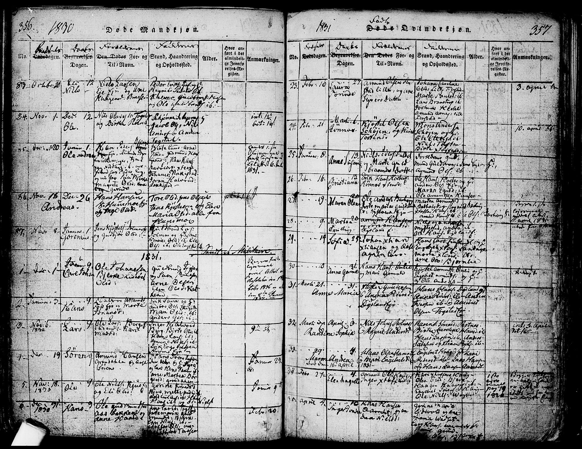 Nes prestekontor Kirkebøker, SAO/A-10410/F/Fa/L0005: Parish register (official) no. I 5, 1815-1835, p. 356-357