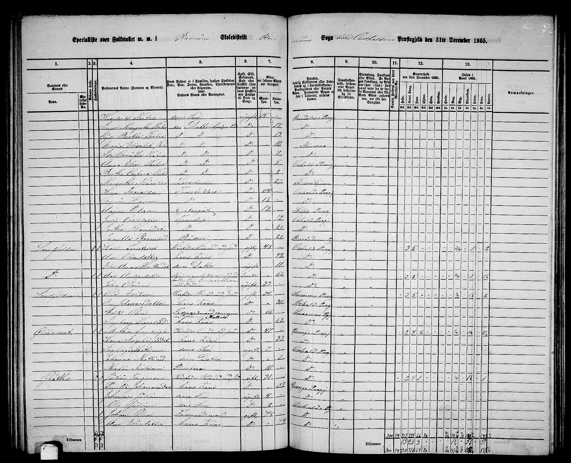 RA, 1865 census for Overhalla, 1865, p. 43