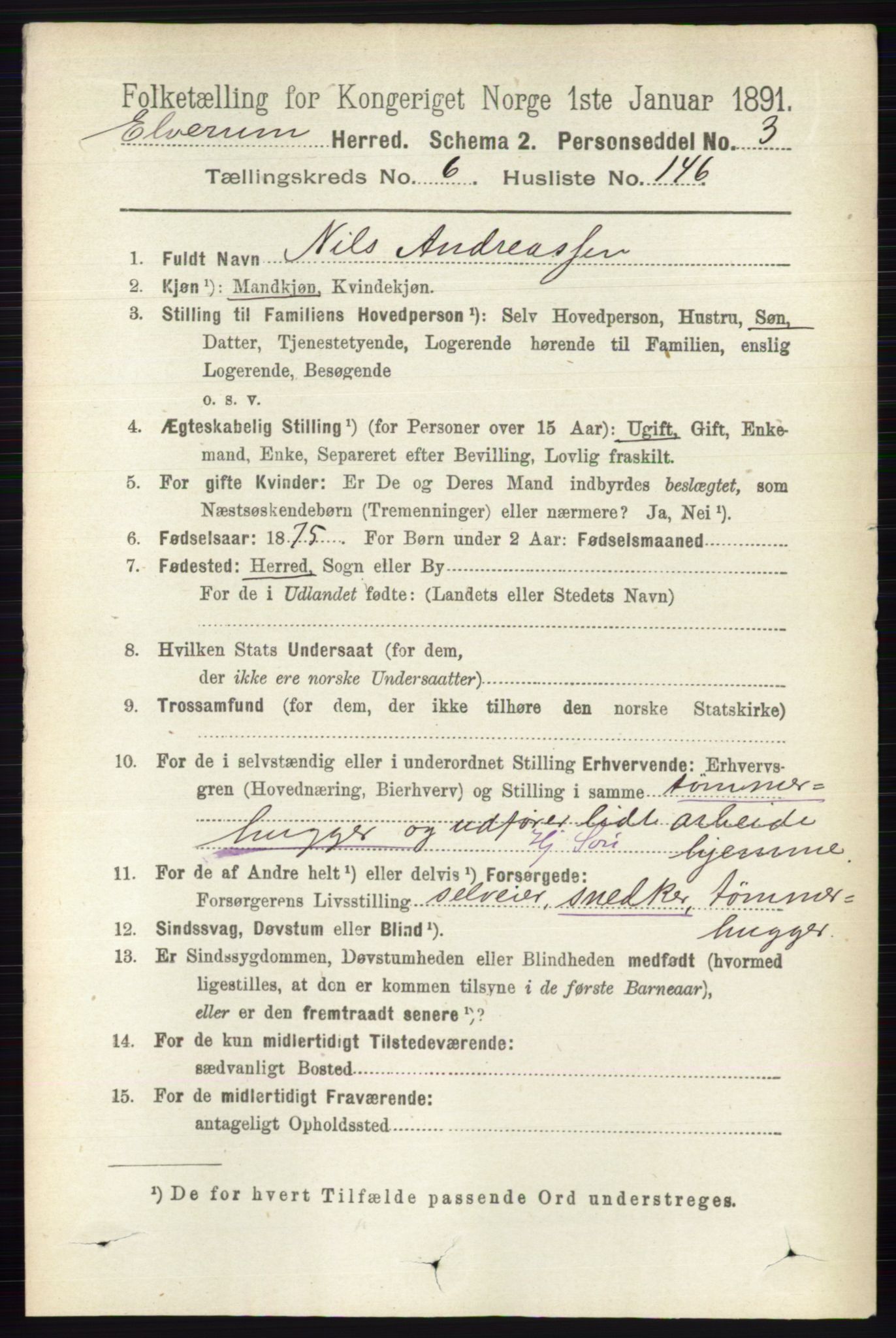 RA, 1891 census for 0427 Elverum, 1891, p. 5207