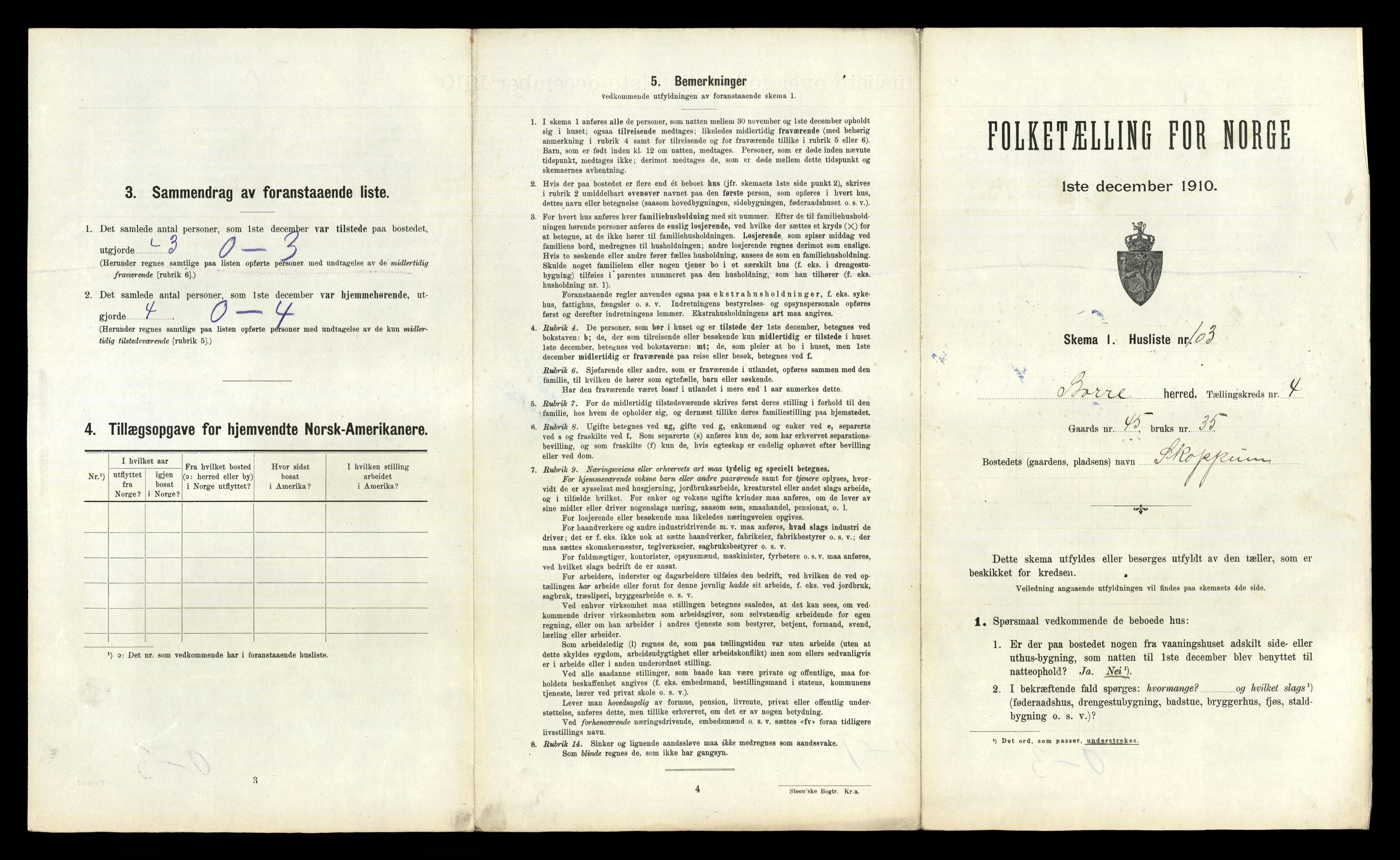 RA, 1910 census for Borre, 1910, p. 849