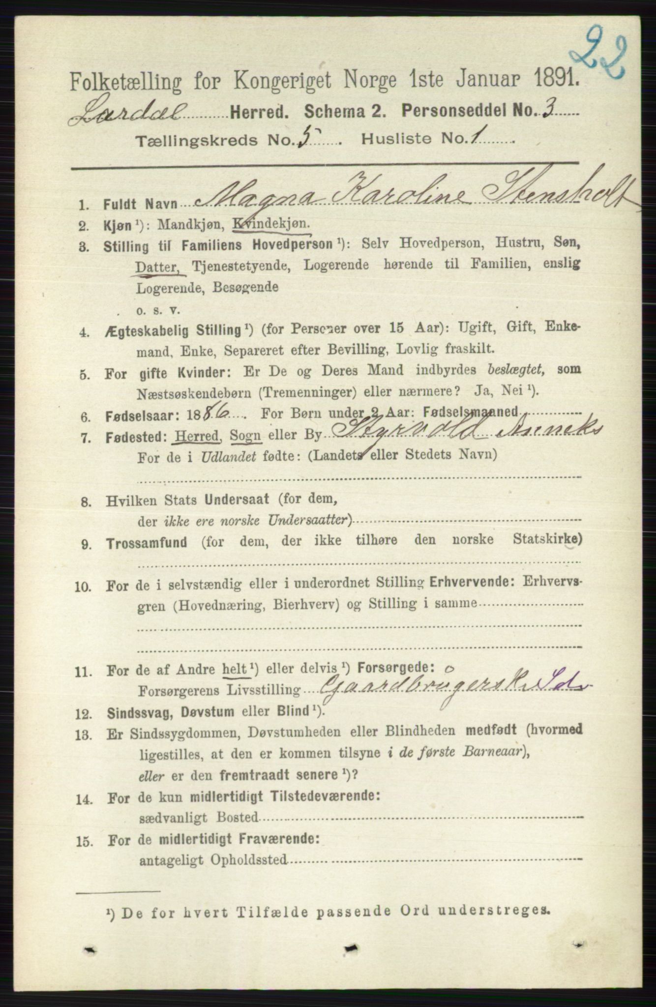 RA, 1891 census for 0728 Lardal, 1891, p. 2704