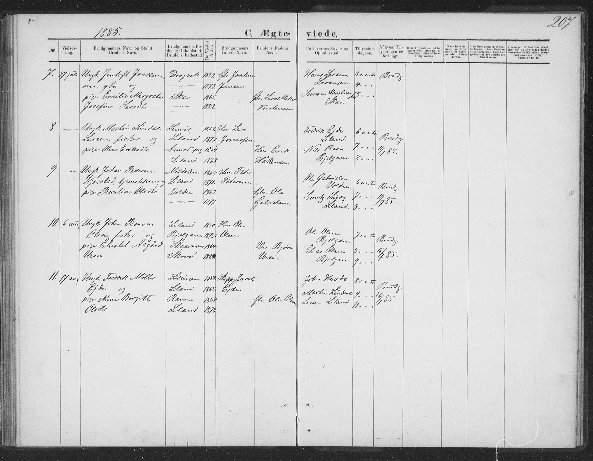 Ministerialprotokoller, klokkerbøker og fødselsregistre - Nordland, AV/SAT-A-1459/863/L0913: Parish register (copy) no. 863C03, 1877-1885, p. 207