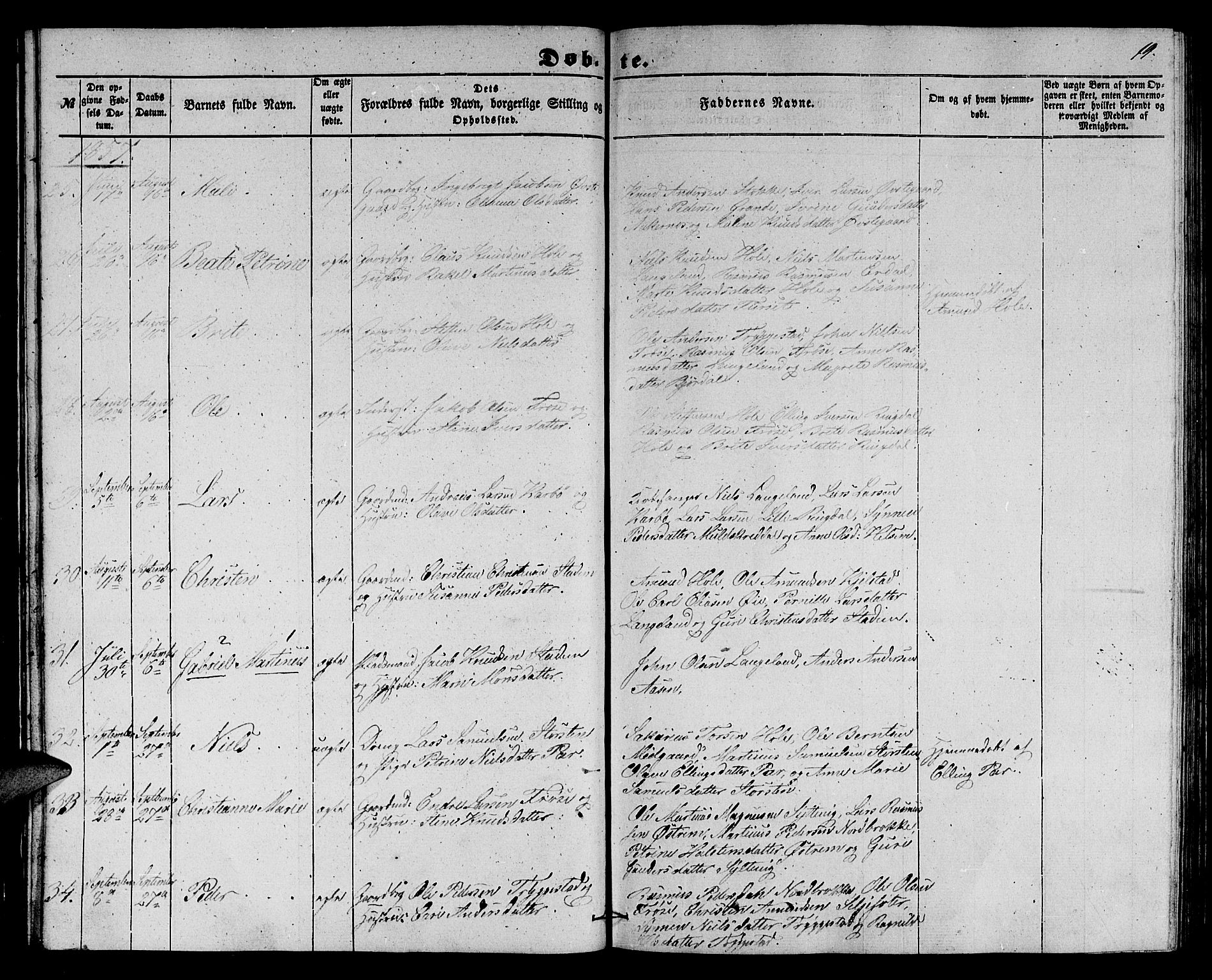 Ministerialprotokoller, klokkerbøker og fødselsregistre - Møre og Romsdal, AV/SAT-A-1454/517/L0228: Parish register (copy) no. 517C01, 1854-1865, p. 19