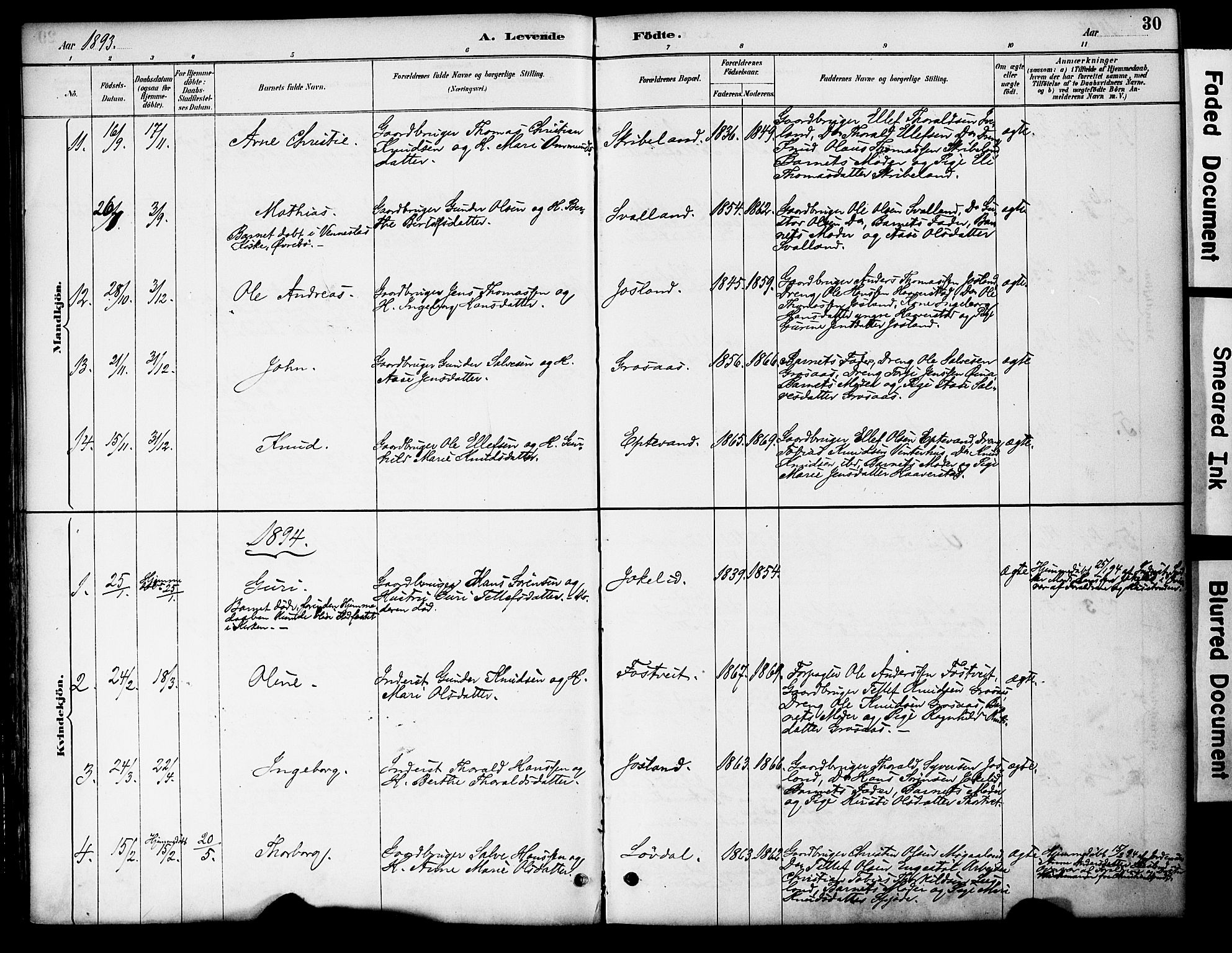 Evje sokneprestkontor, AV/SAK-1111-0008/F/Fa/Fac/L0003: Parish register (official) no. A 3, 1884-1909, p. 30