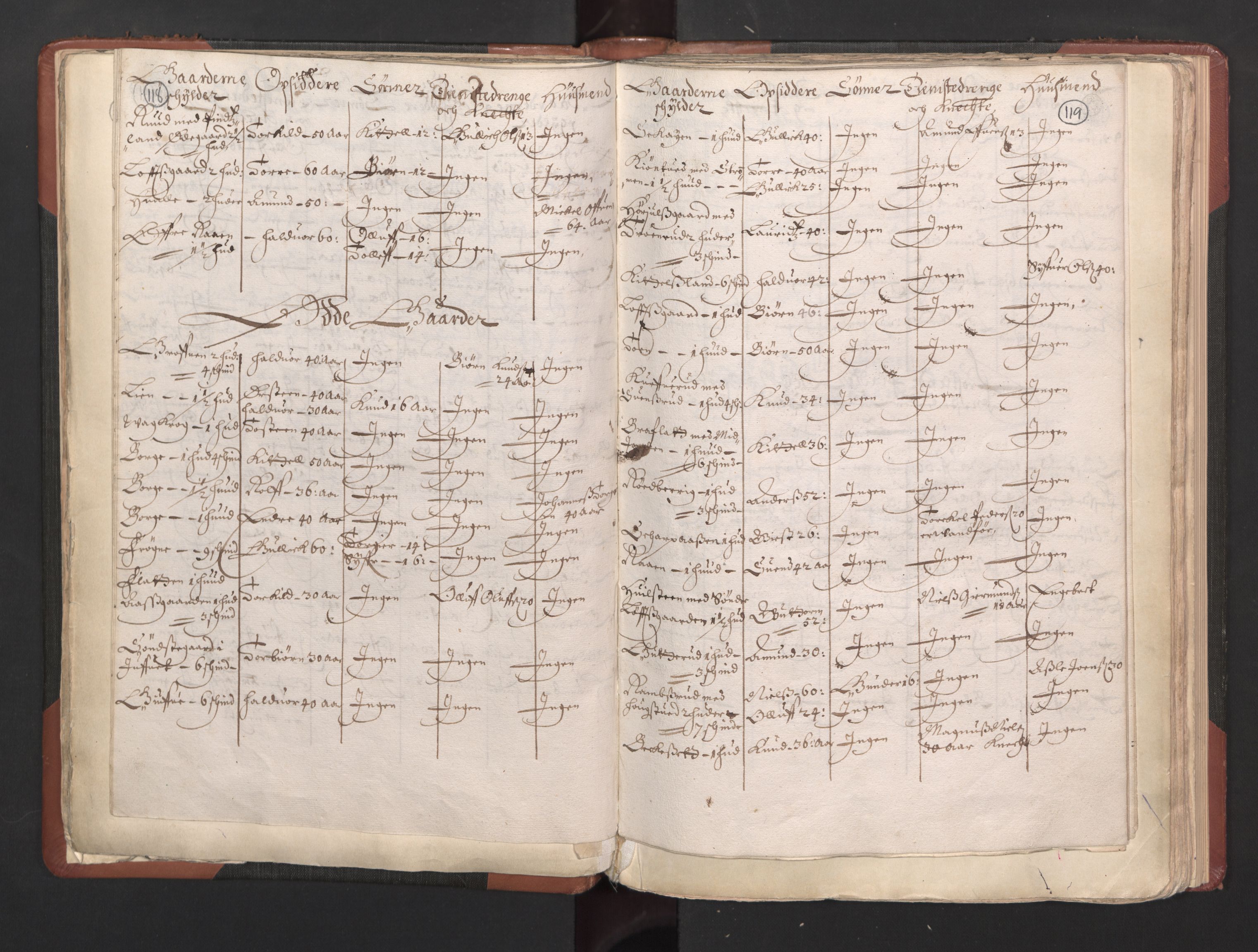 RA, Bailiff's Census 1664-1666, no. 5: Modern Buskerud county and modern Vestfold county, 1664, p. 118-119