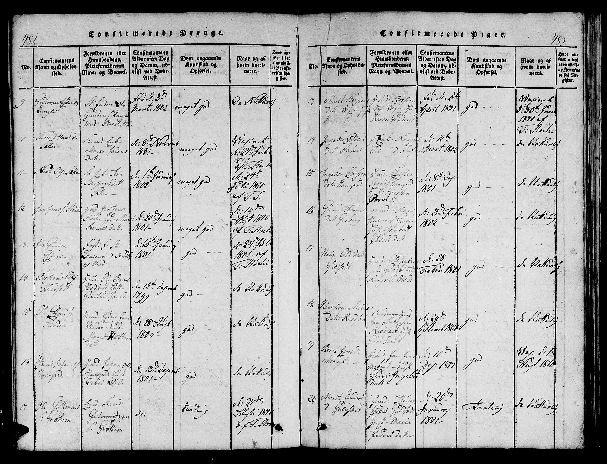 Ministerialprotokoller, klokkerbøker og fødselsregistre - Sør-Trøndelag, AV/SAT-A-1456/695/L1152: Parish register (copy) no. 695C03, 1816-1831, p. 482-483