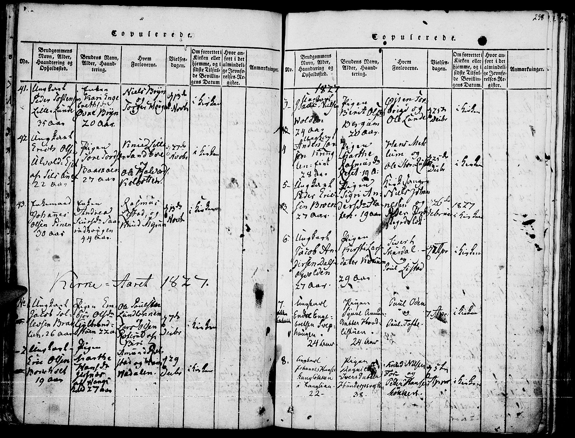 Fron prestekontor, SAH/PREST-078/H/Ha/Haa/L0002: Parish register (official) no. 2, 1816-1827, p. 238