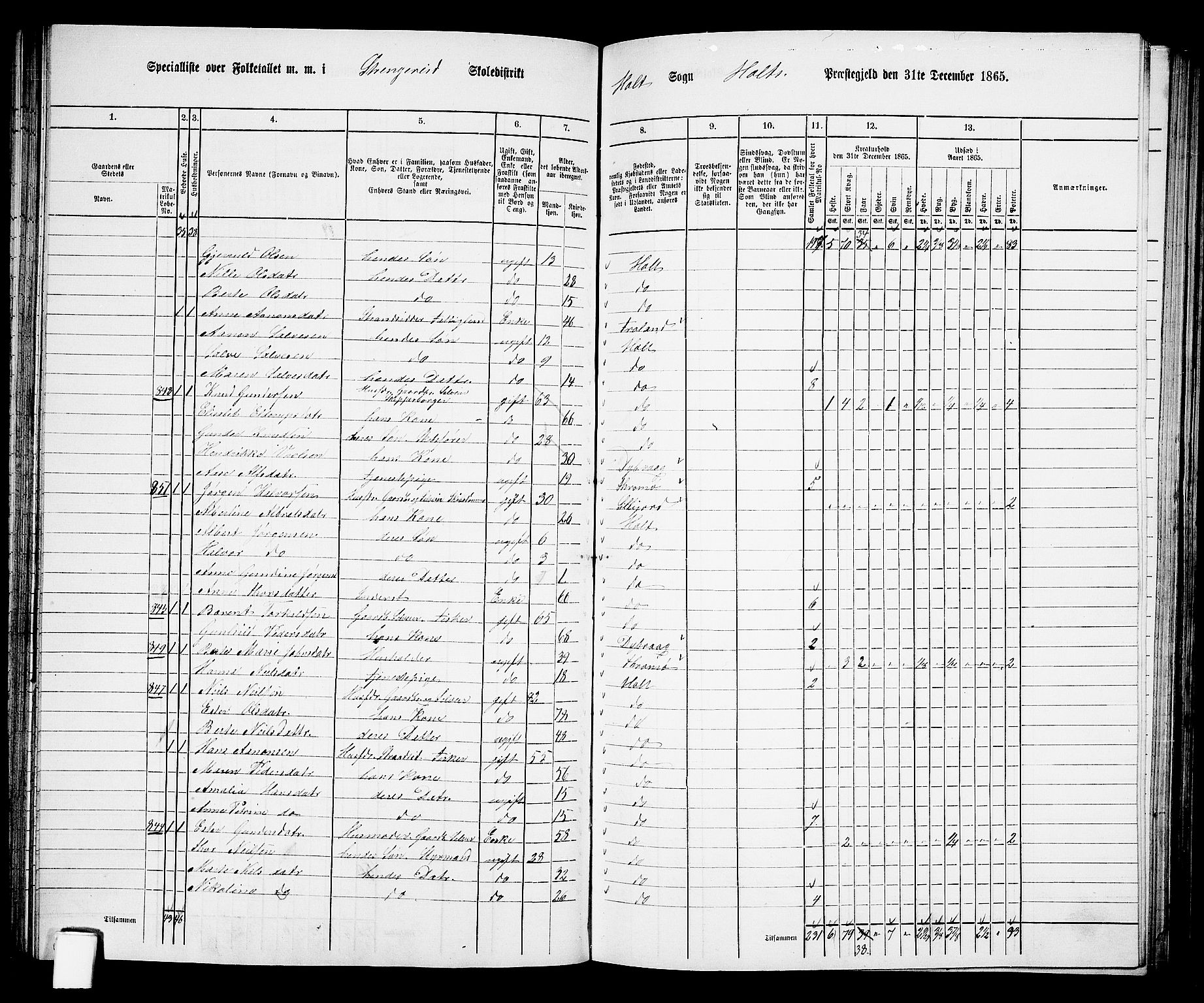 RA, 1865 census for Holt/Holt, 1865, p. 77