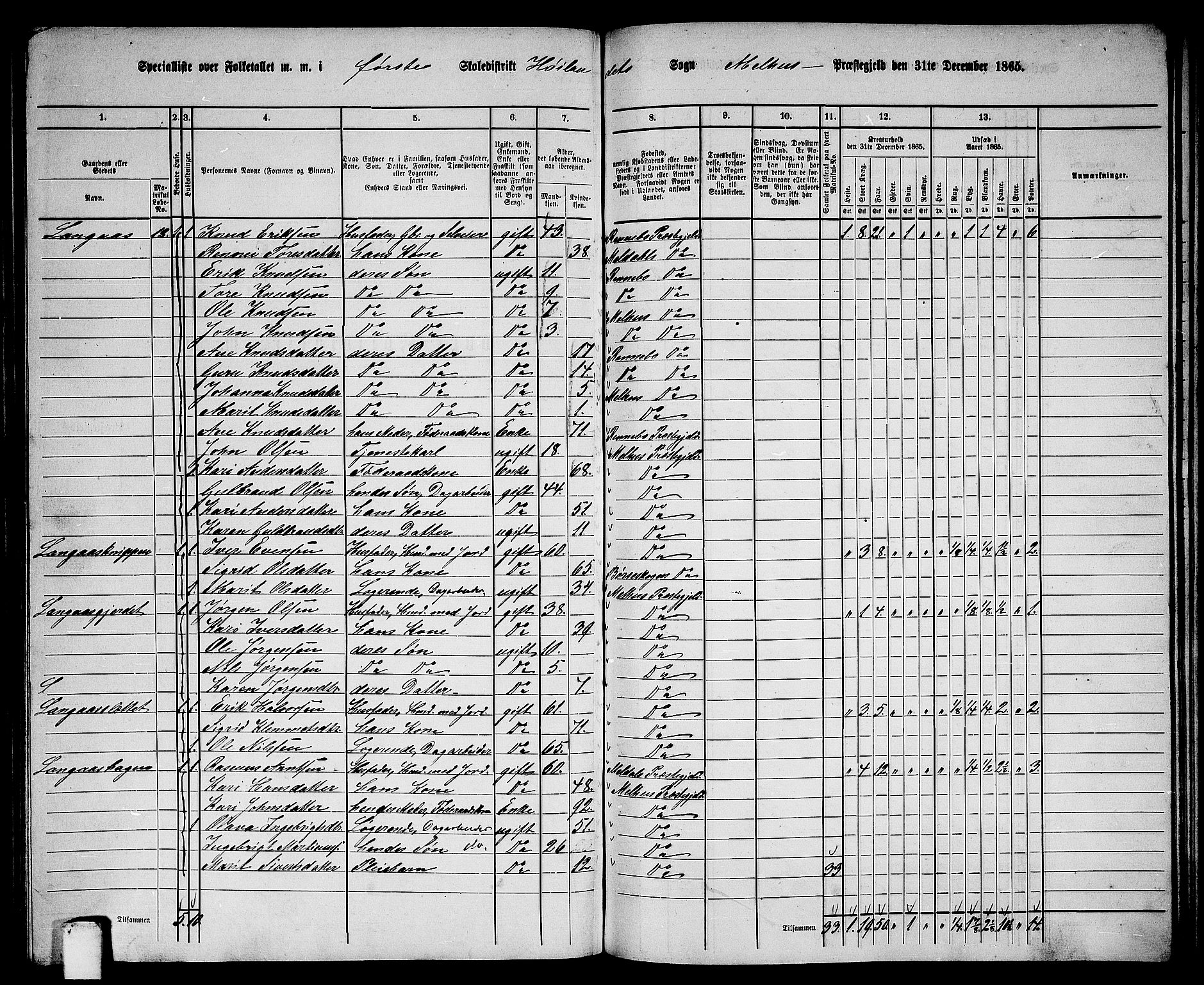 RA, 1865 census for Melhus, 1865, p. 168