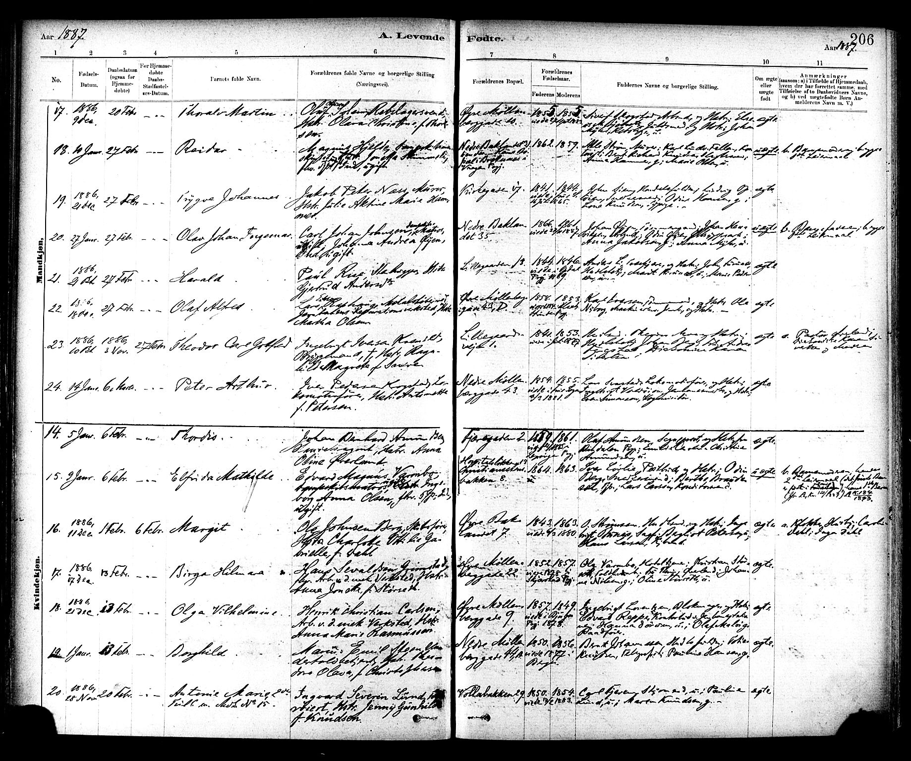 Ministerialprotokoller, klokkerbøker og fødselsregistre - Sør-Trøndelag, SAT/A-1456/604/L0188: Parish register (official) no. 604A09, 1878-1892, p. 206