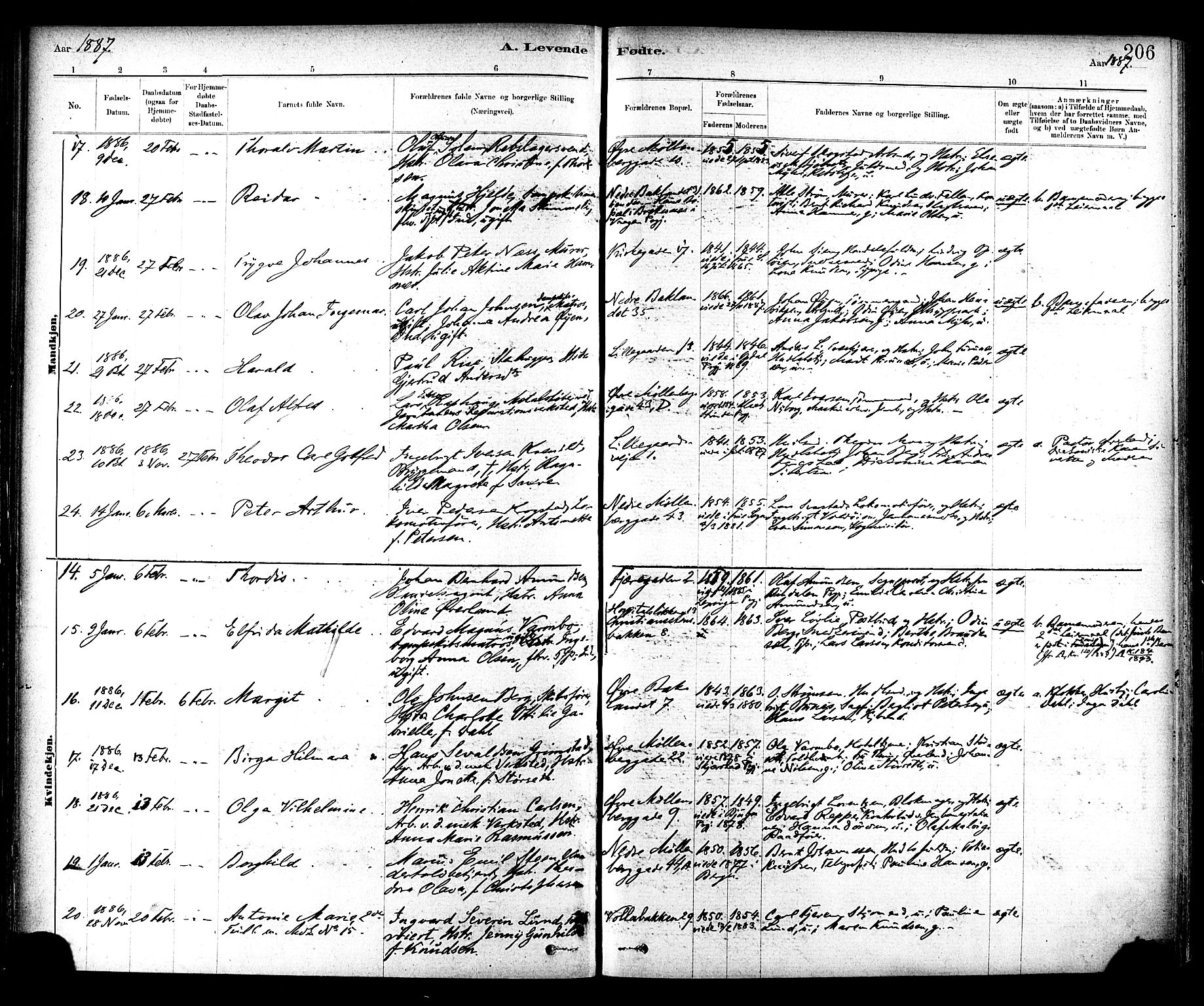 Ministerialprotokoller, klokkerbøker og fødselsregistre - Sør-Trøndelag, AV/SAT-A-1456/604/L0188: Parish register (official) no. 604A09, 1878-1892, p. 206