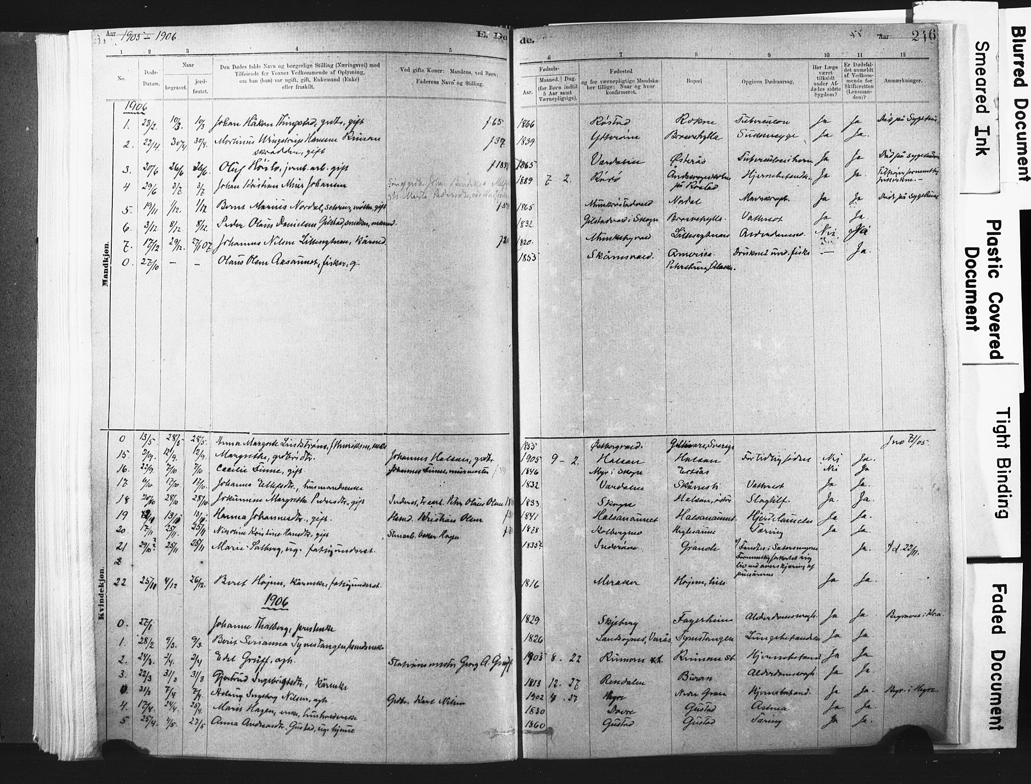 Ministerialprotokoller, klokkerbøker og fødselsregistre - Nord-Trøndelag, SAT/A-1458/721/L0207: Parish register (official) no. 721A02, 1880-1911, p. 246