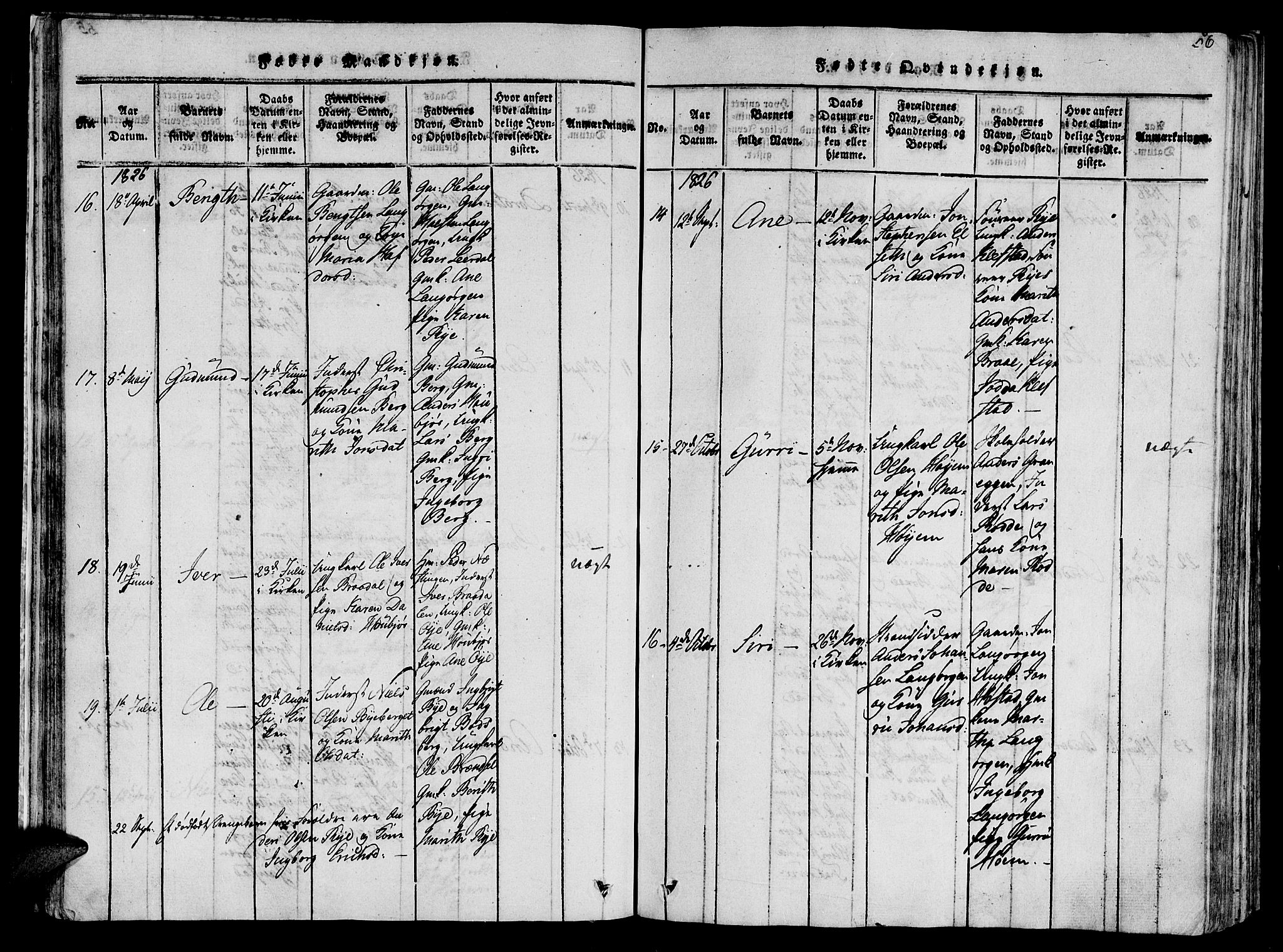 Ministerialprotokoller, klokkerbøker og fødselsregistre - Sør-Trøndelag, AV/SAT-A-1456/612/L0372: Parish register (official) no. 612A06 /1, 1816-1828, p. 56