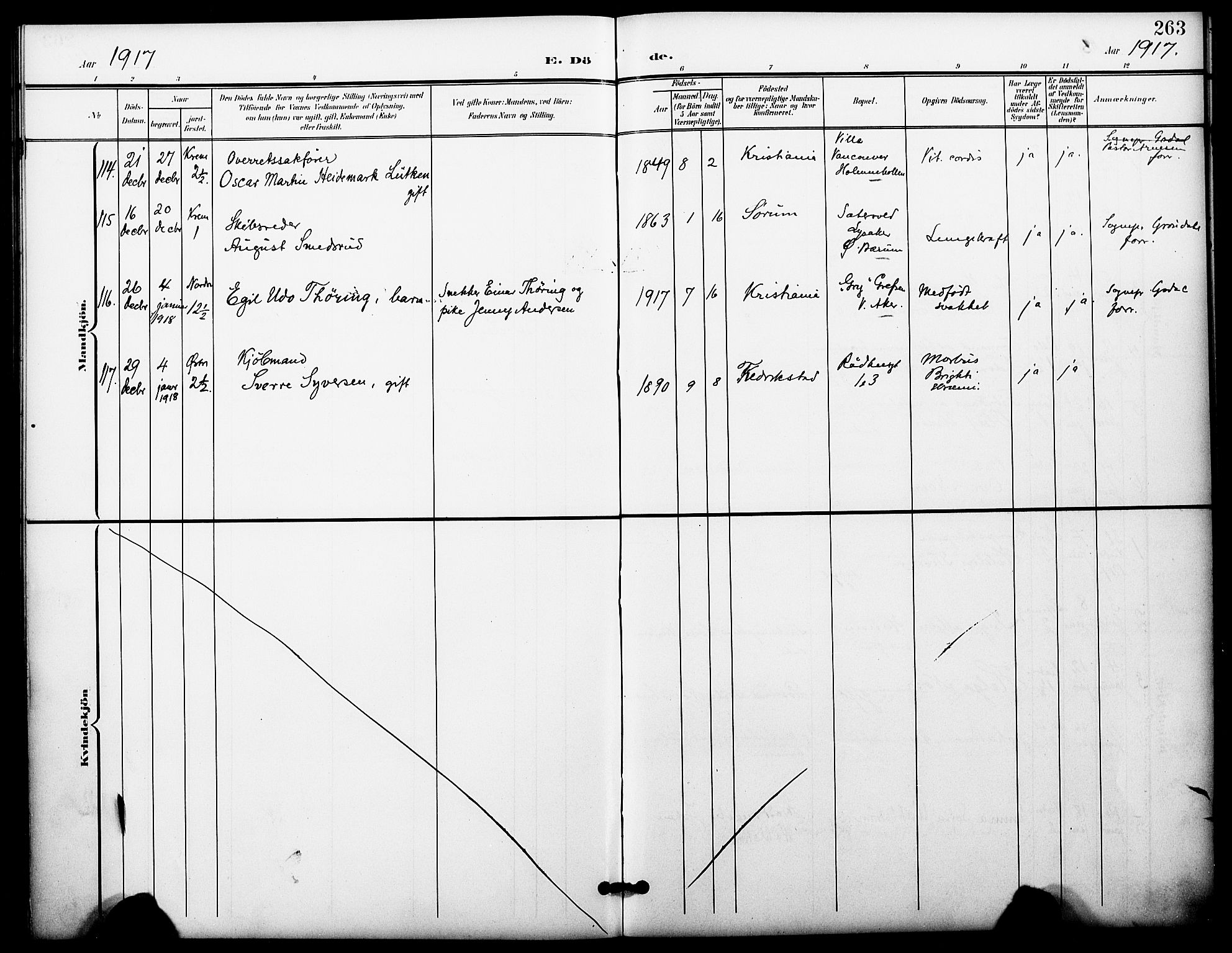 Oslo domkirke Kirkebøker, AV/SAO-A-10752/F/Fa/L0036: Parish register (official) no. 36, 1901-1919, p. 263