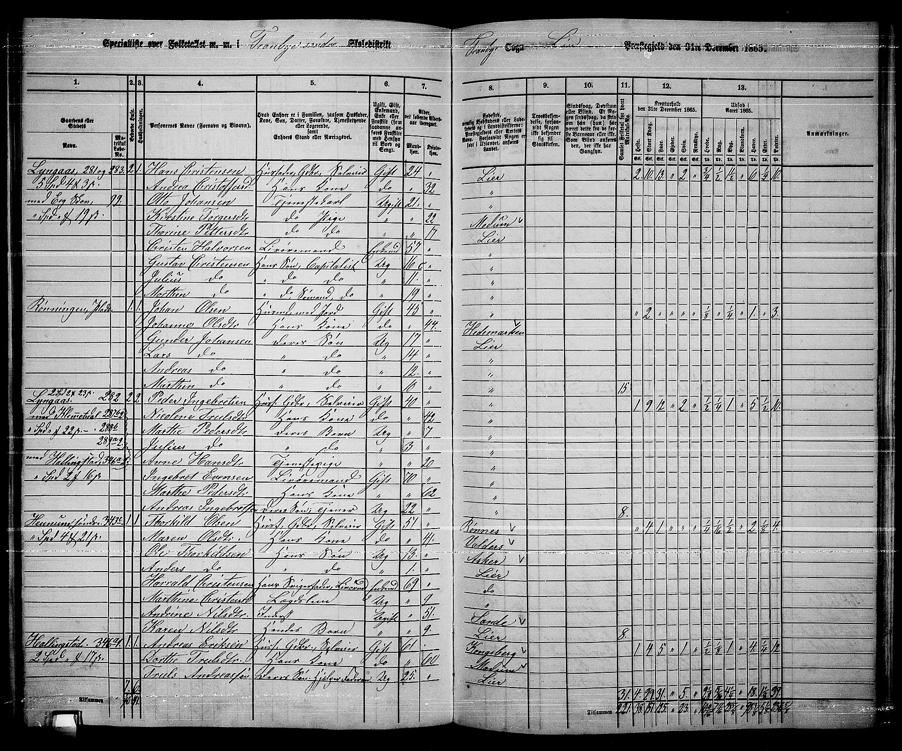 RA, 1865 census for Lier, 1865, p. 190