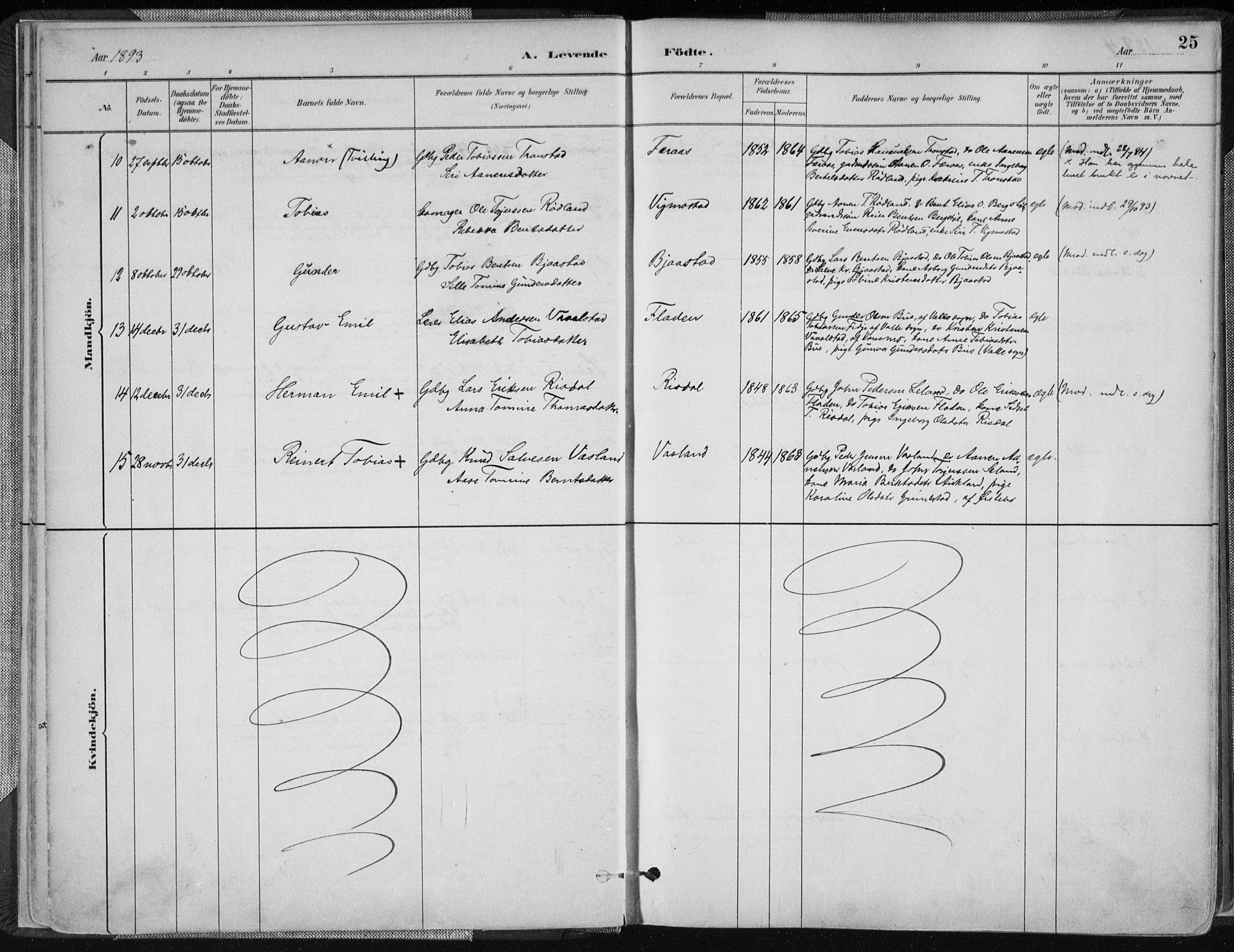 Nord-Audnedal sokneprestkontor, AV/SAK-1111-0032/F/Fa/Fab/L0003: Parish register (official) no. A 3, 1882-1900, p. 25