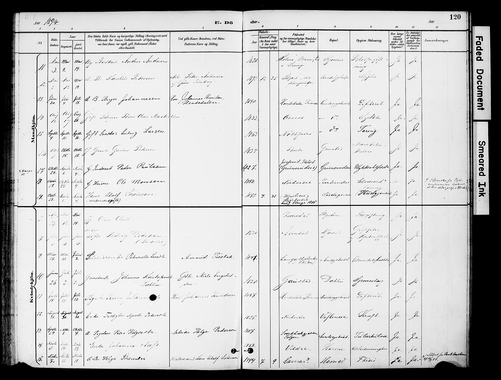 Stange prestekontor, AV/SAH-PREST-002/K/L0021: Parish register (official) no. 21, 1891-1902, p. 120