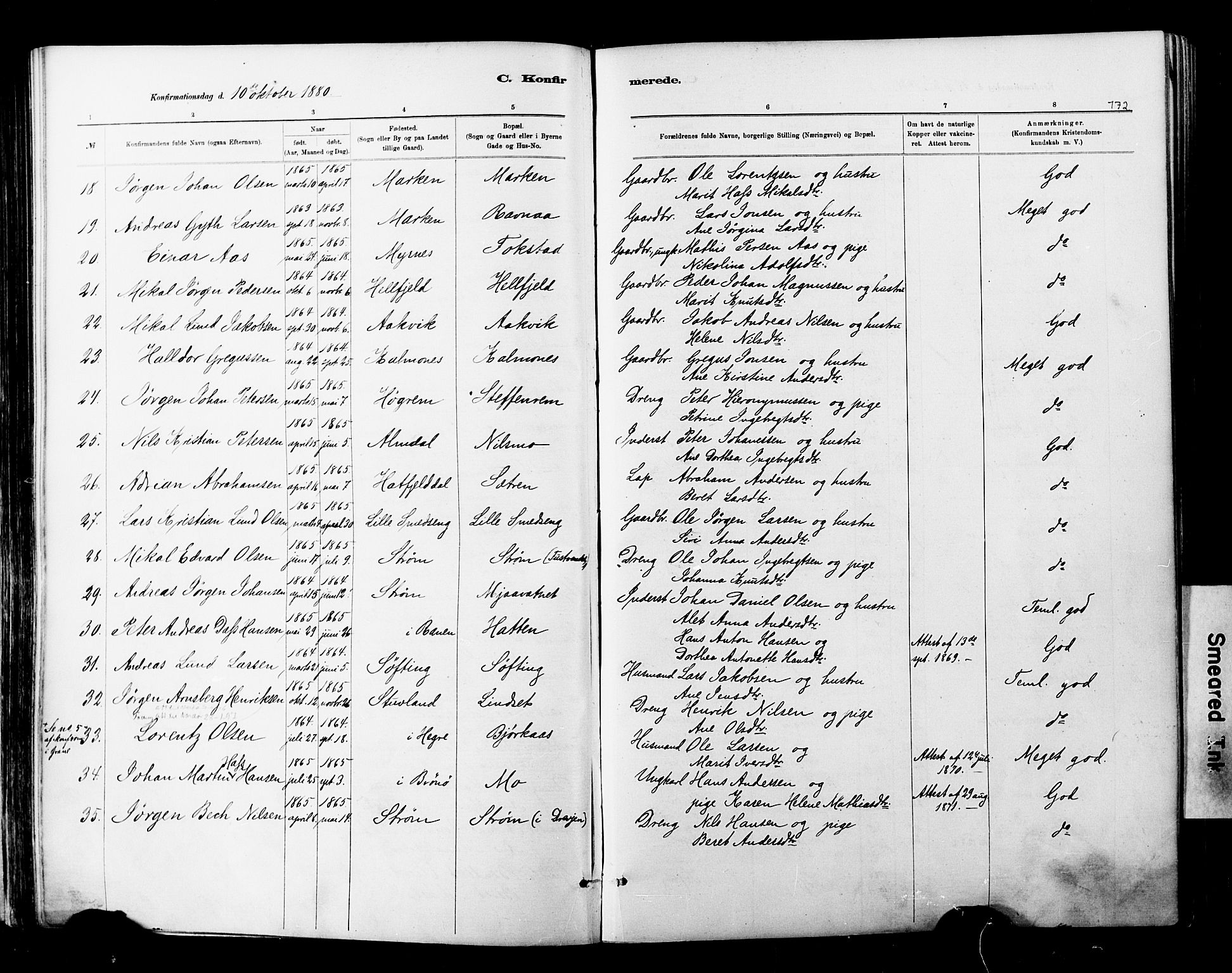 Ministerialprotokoller, klokkerbøker og fødselsregistre - Nordland, SAT/A-1459/820/L0295: Parish register (official) no. 820A16, 1880-1896, p. 172