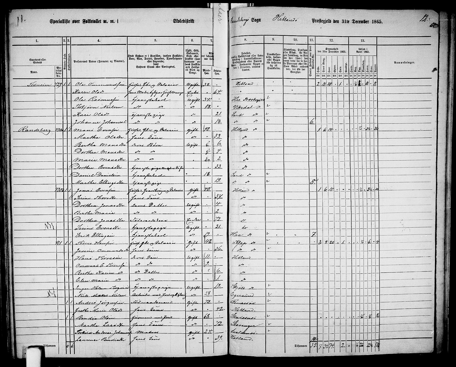 RA, 1865 census for Hetland, 1865, p. 193