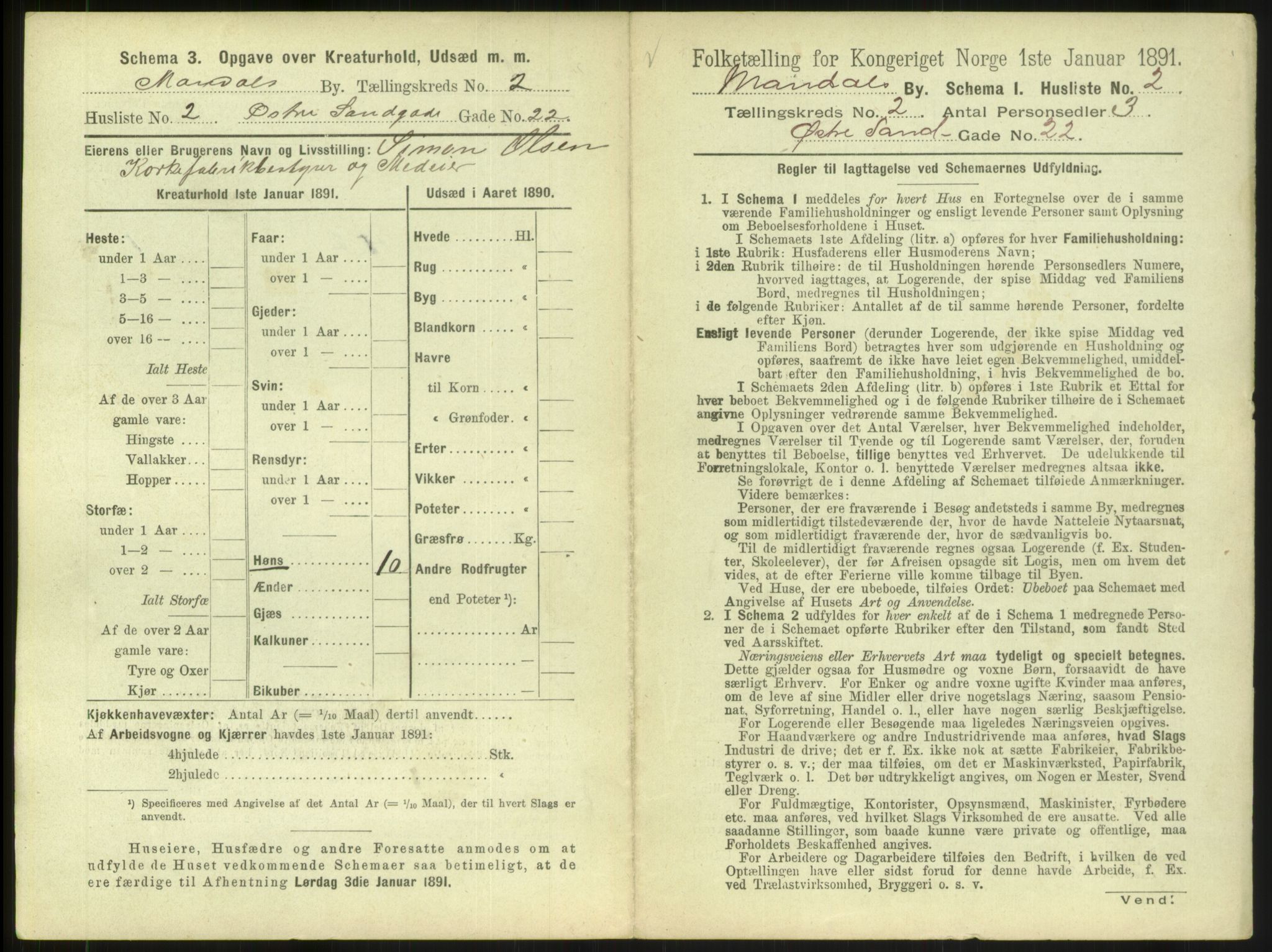 RA, 1891 census for 1002 Mandal, 1891, p. 117