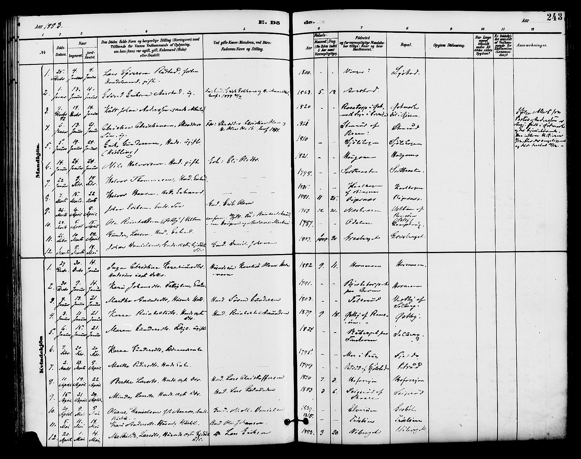 Brandval prestekontor, SAH/PREST-034/H/Ha/Haa/L0002: Parish register (official) no. 2, 1880-1894, p. 243
