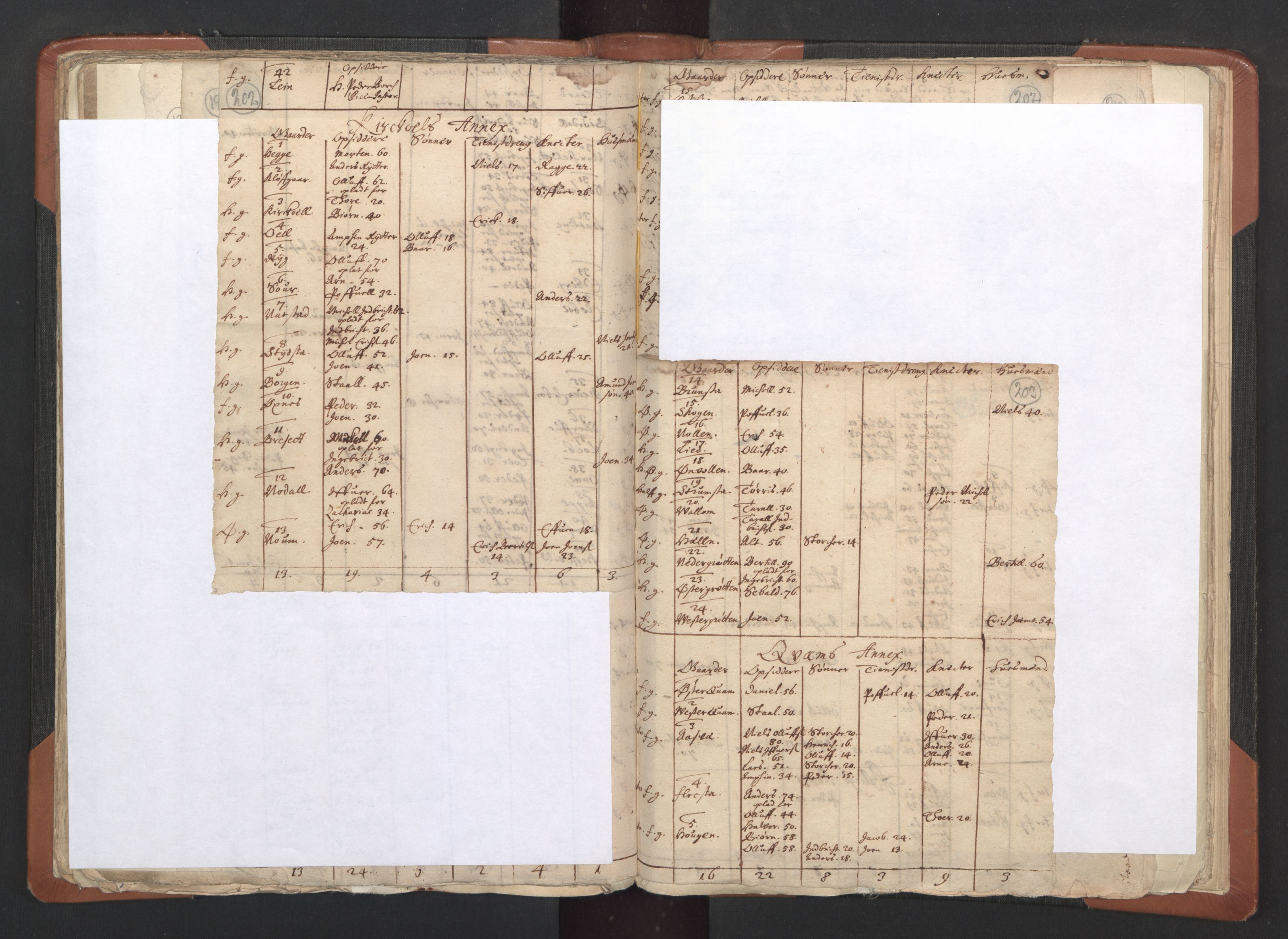 RA, Vicar's Census 1664-1666, no. 33: Innherad deanery, 1664-1666, p. 202-203